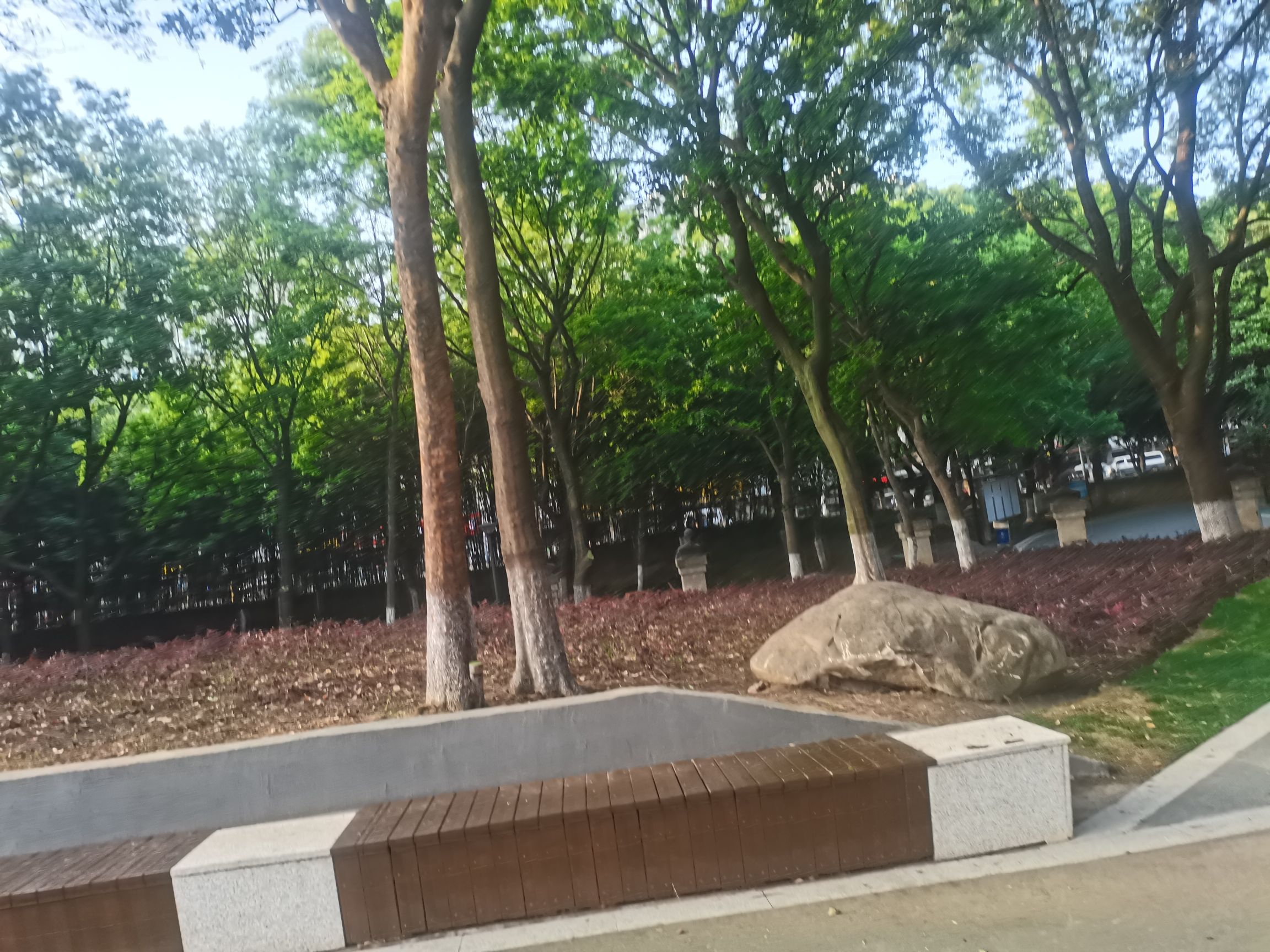 五星公园旅行图片 2