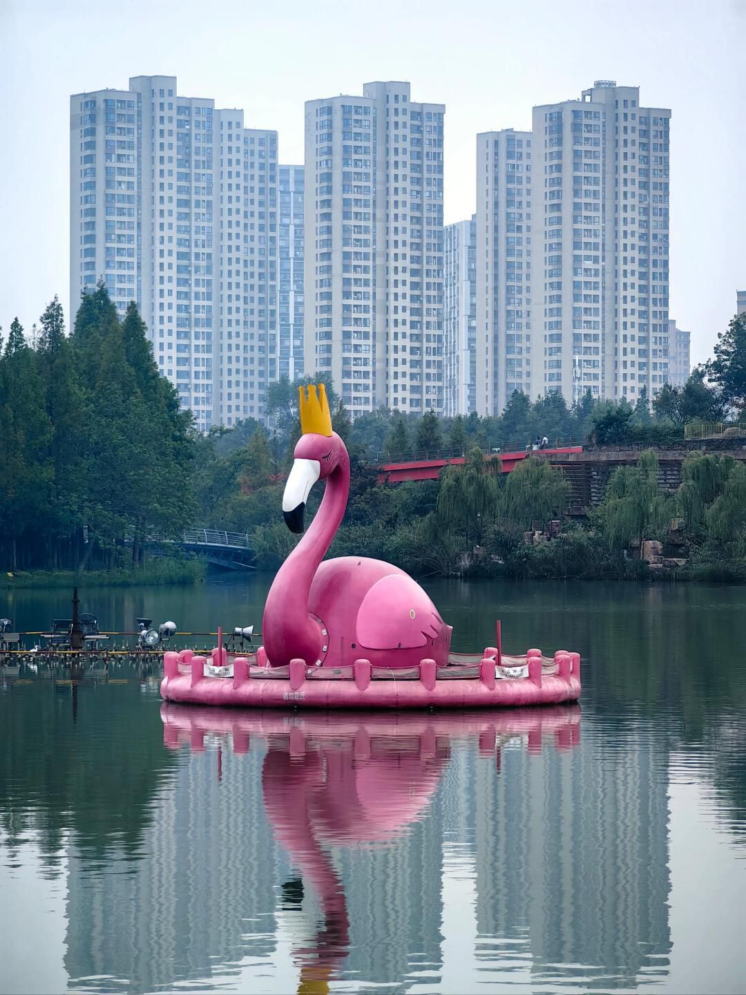 青枫公园旅行图片 1