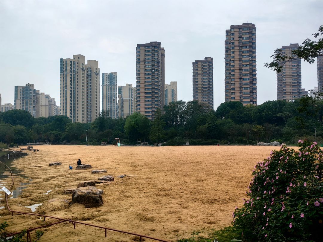 青枫公园旅行图片 1