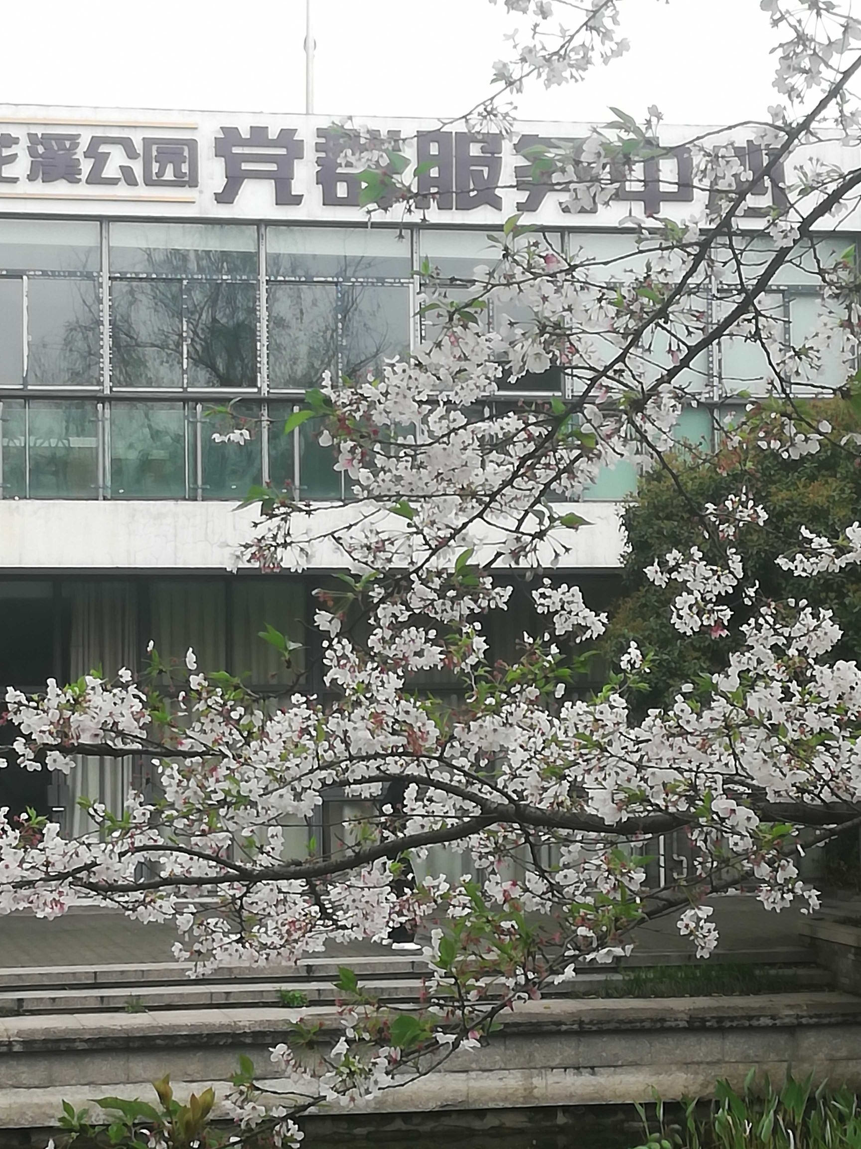 花溪党建文化公园