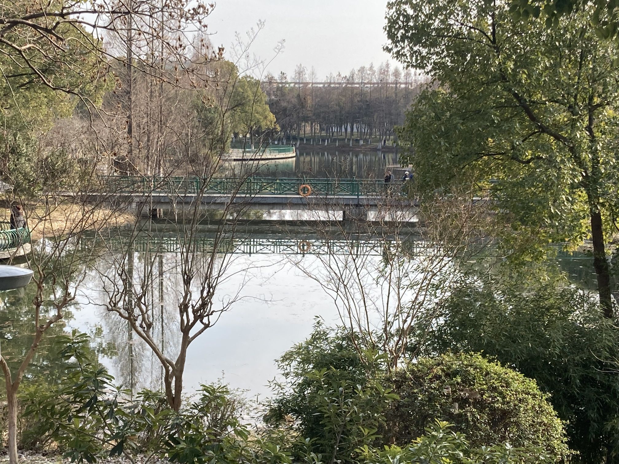 翠竹公园旅行图片 1