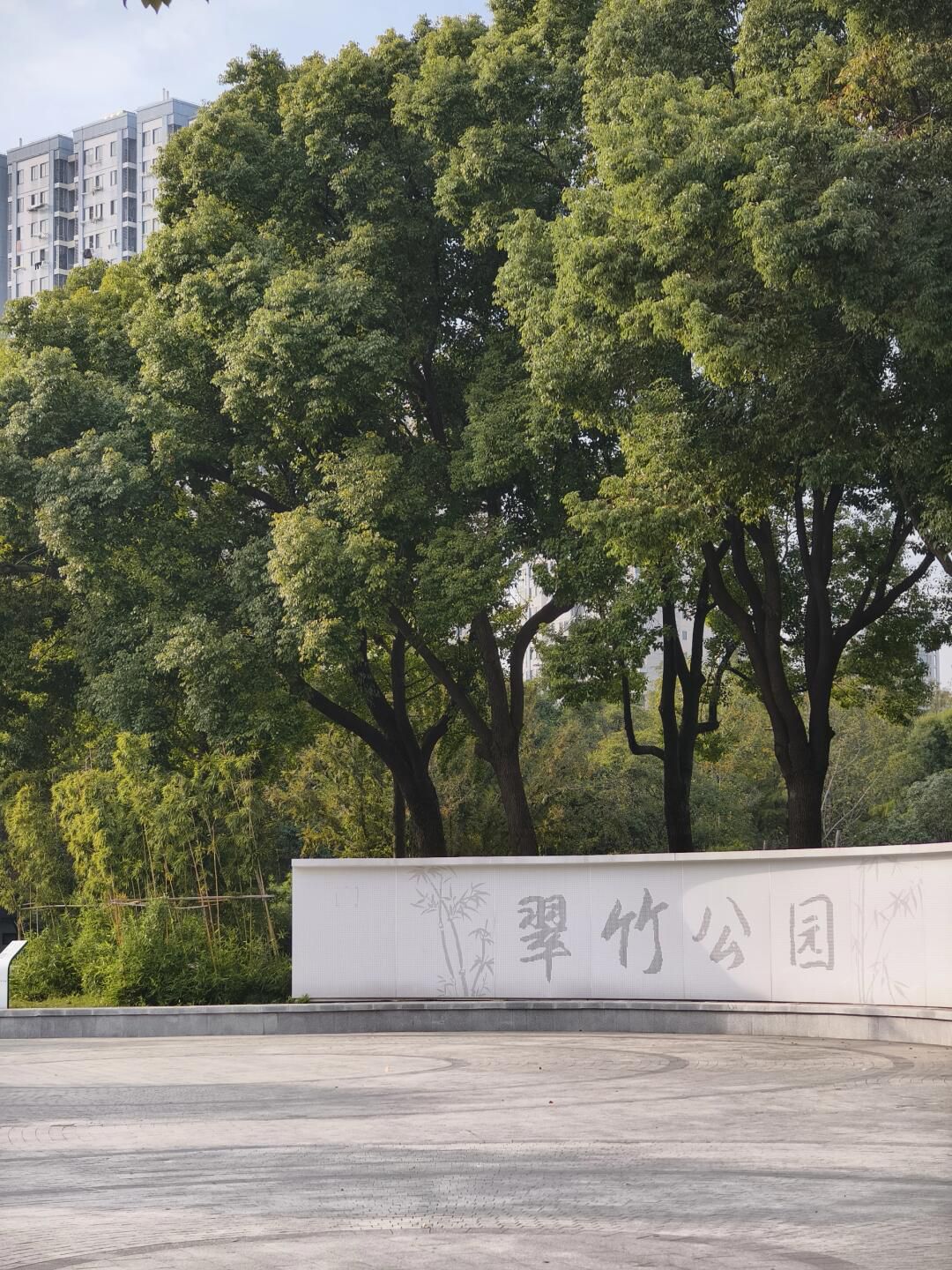翠竹公园旅行图片 1