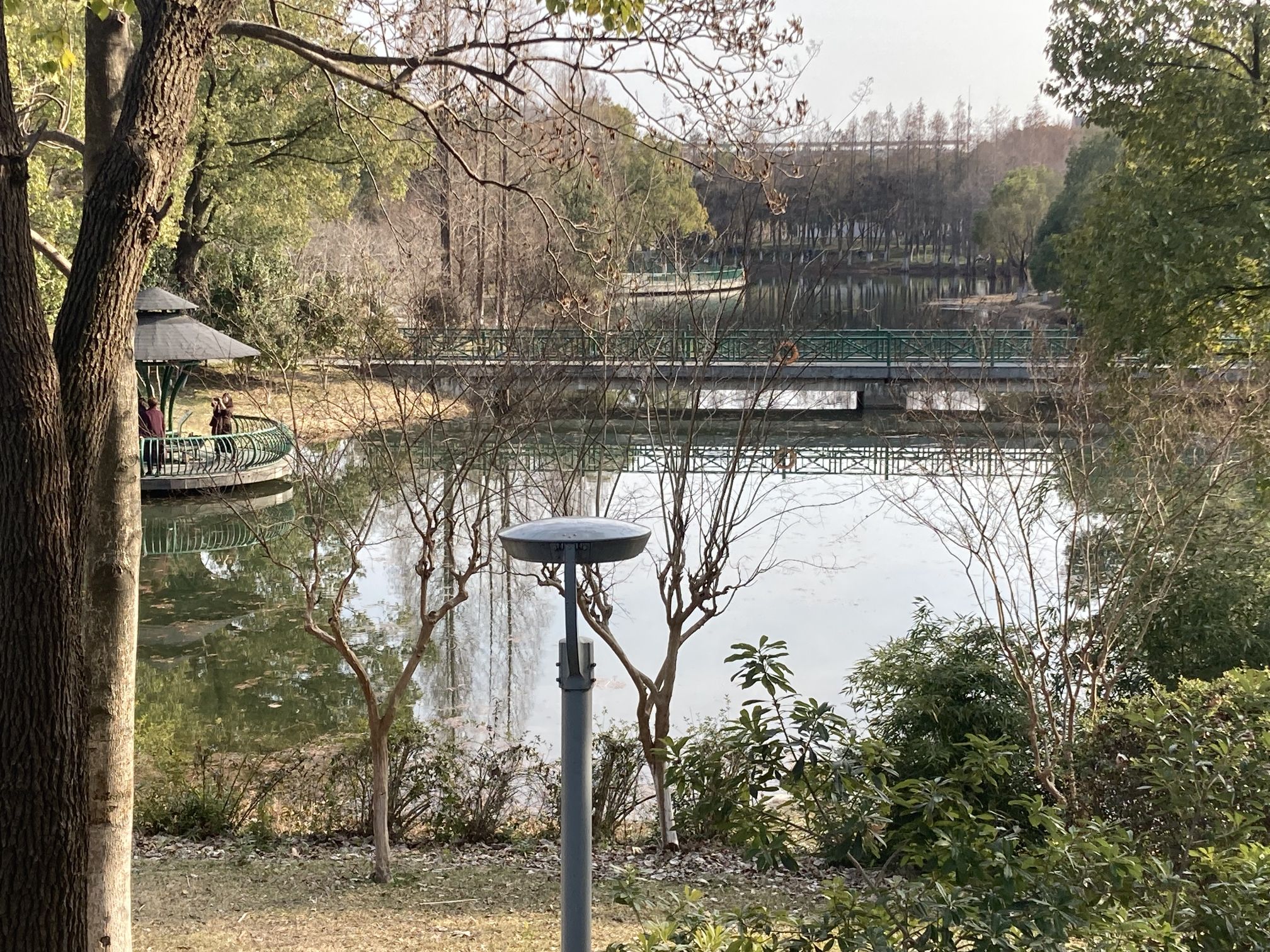 翠竹公园旅行图片 2