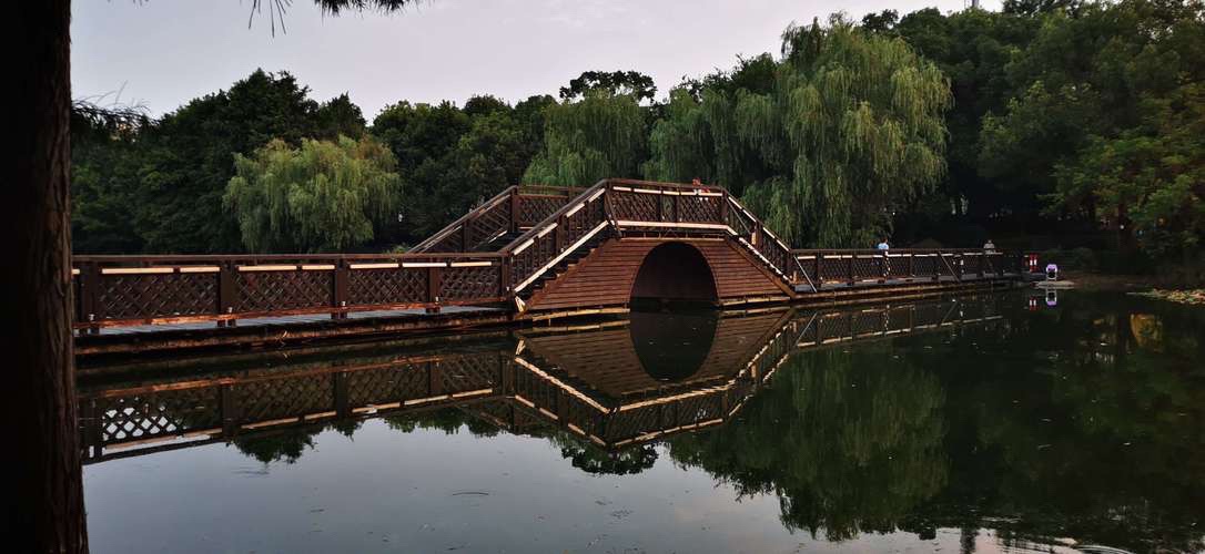 薛家中心广场旅行图片 1