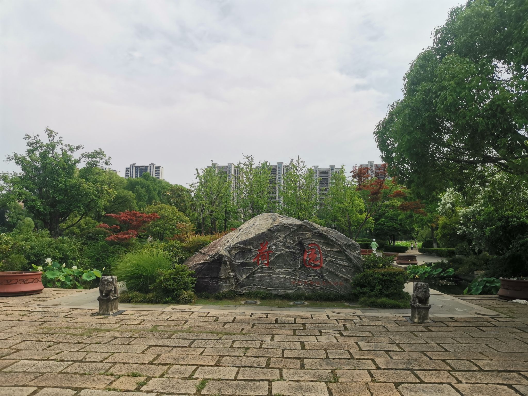 荷园旅行图片 1