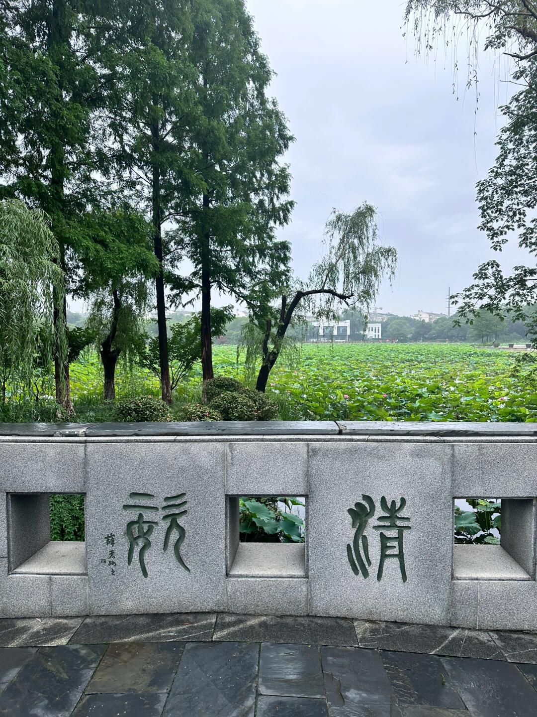 荷园旅行图片 3