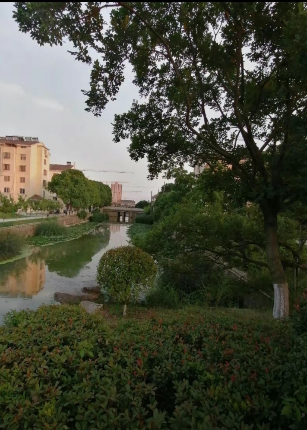 牌楼公园旅行图片 1