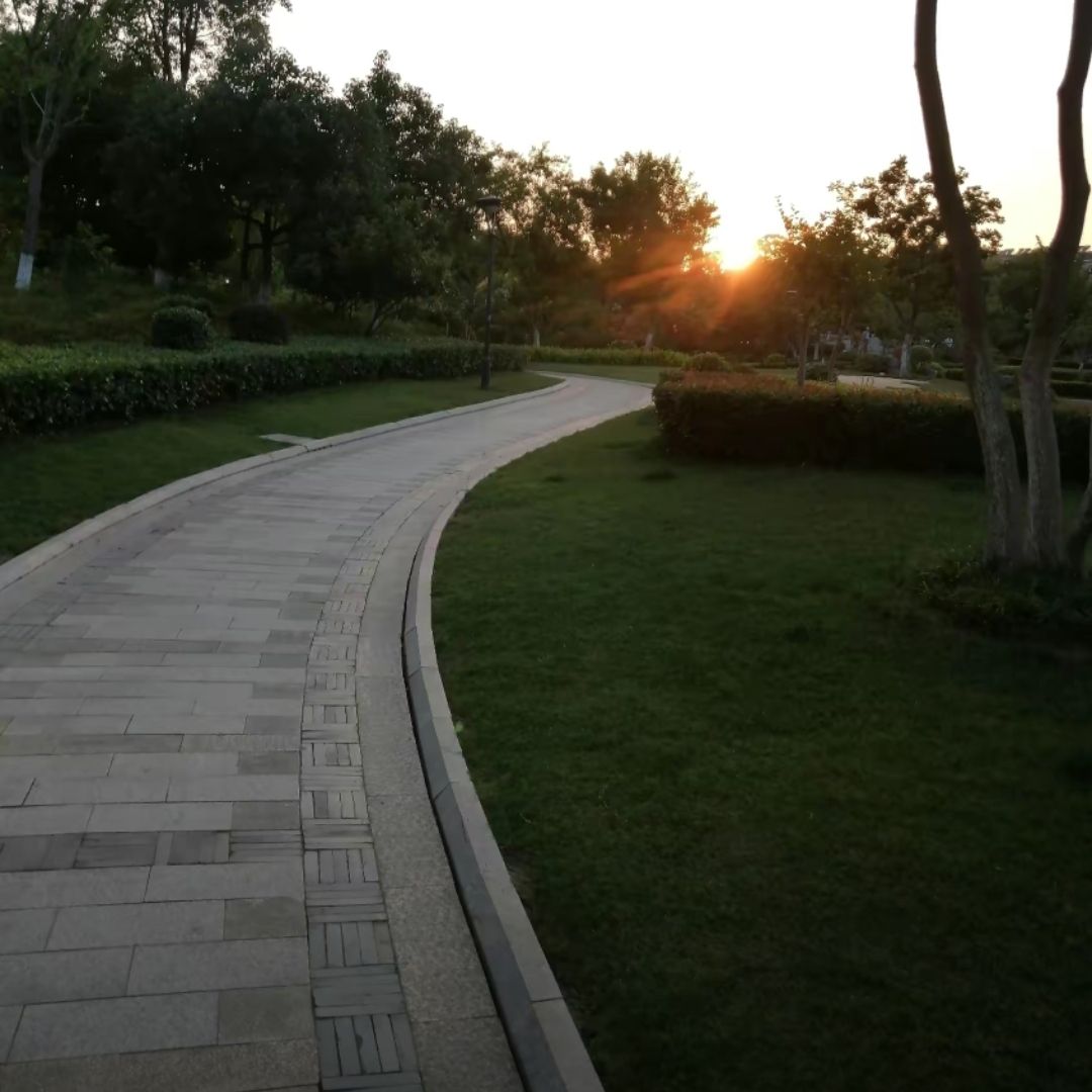 牌楼公园旅行图片 2