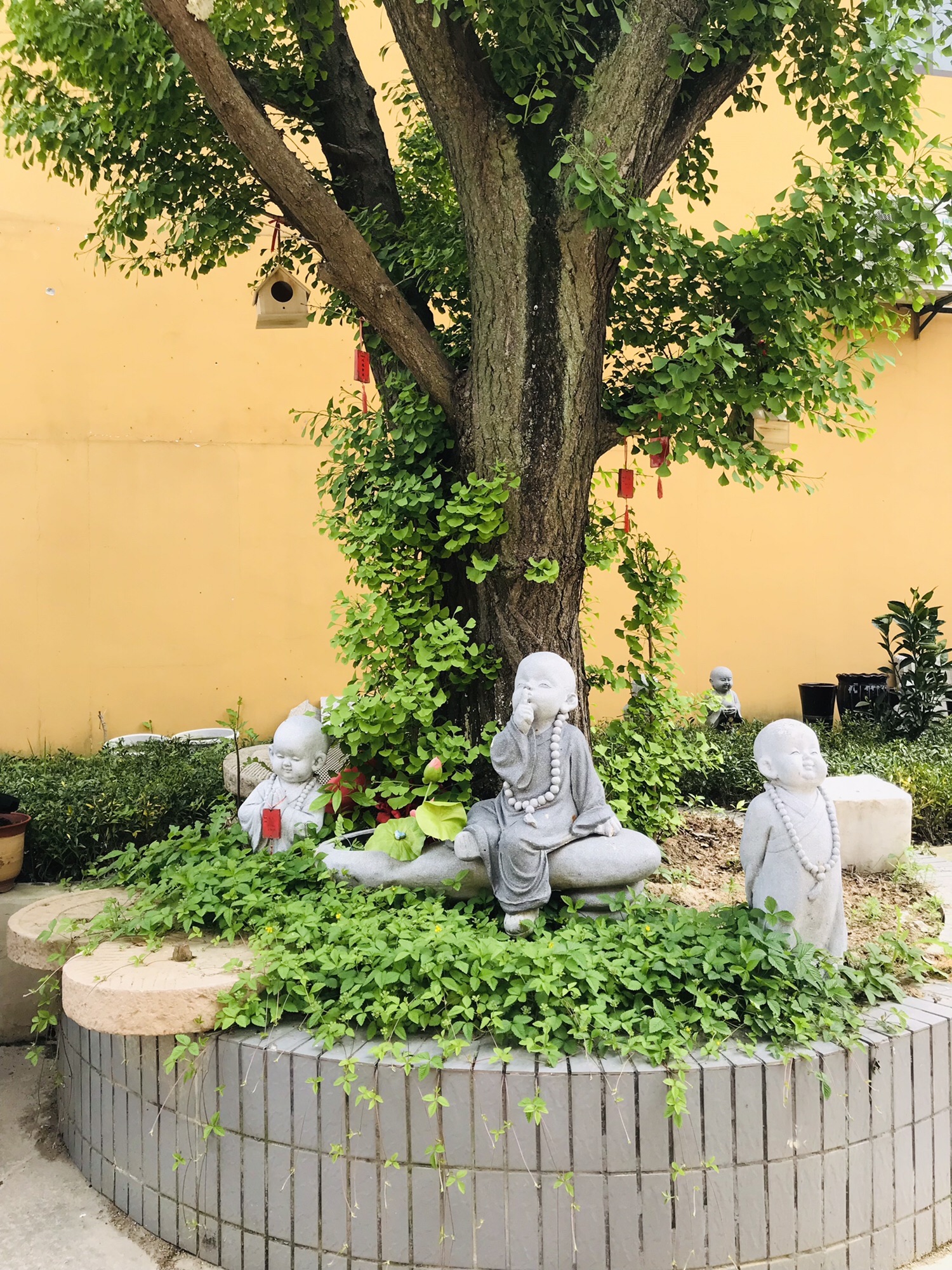 顾龙山公园旅行图片 3