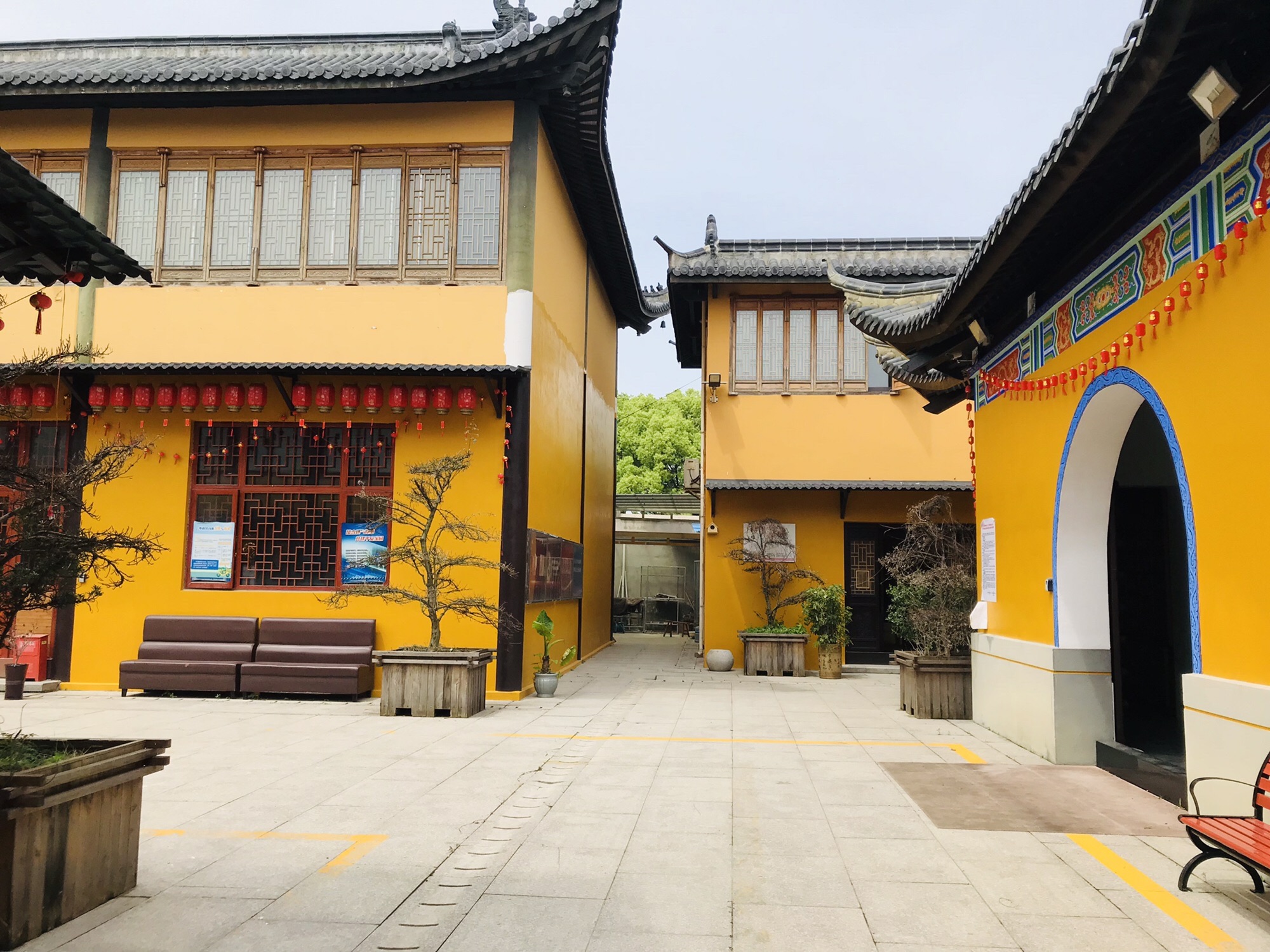 顾龙山公园旅行图片 2