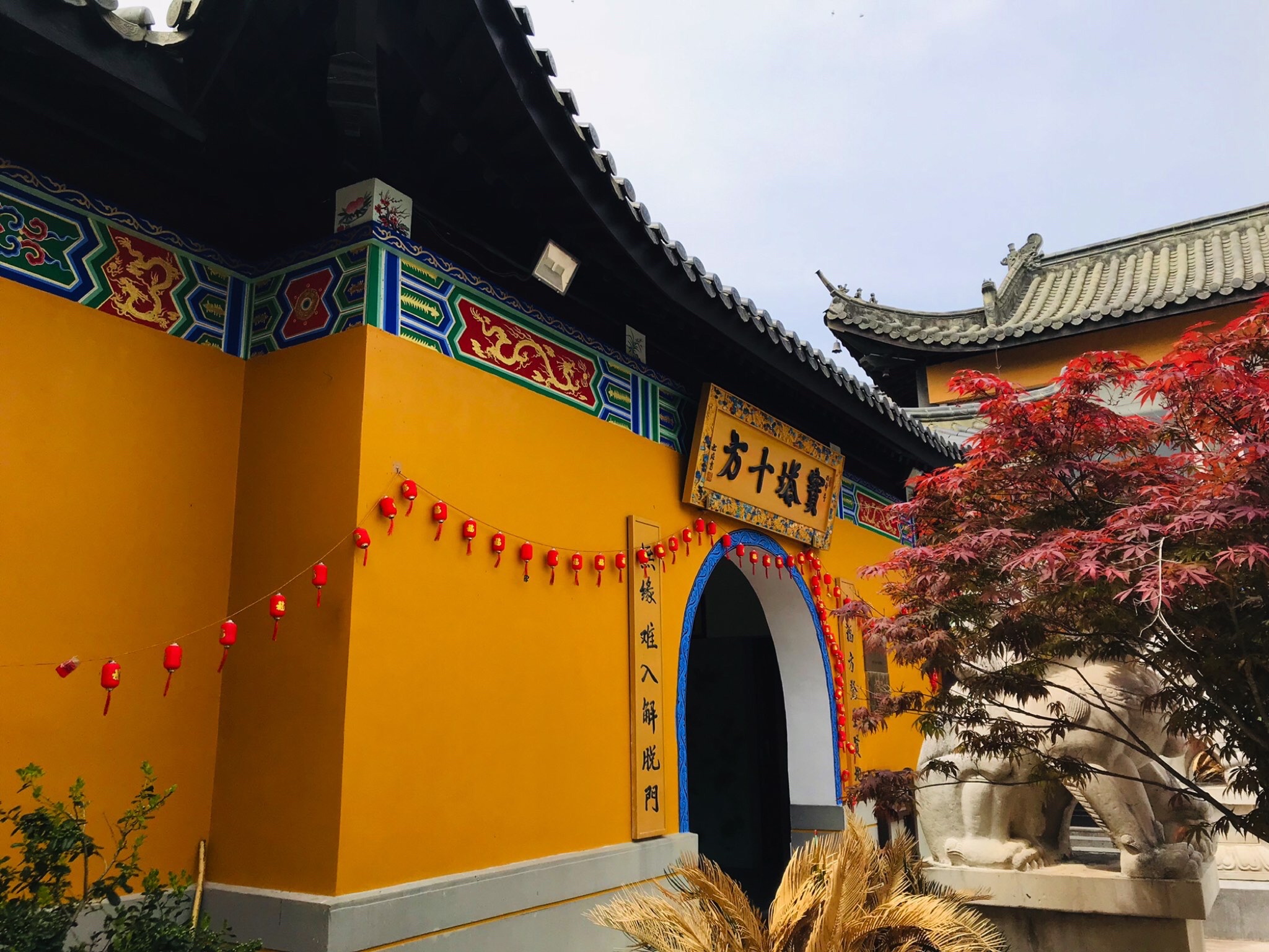 顾龙山公园旅行图片 1