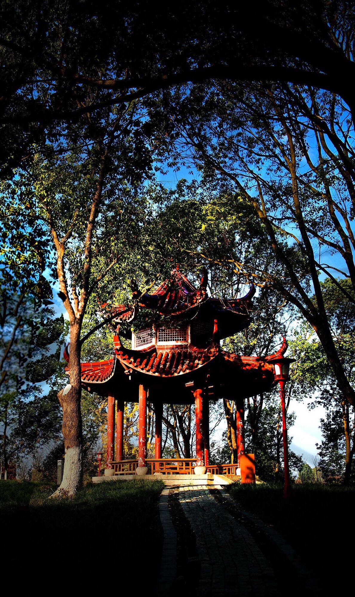 善庆公园旅行图片 3
