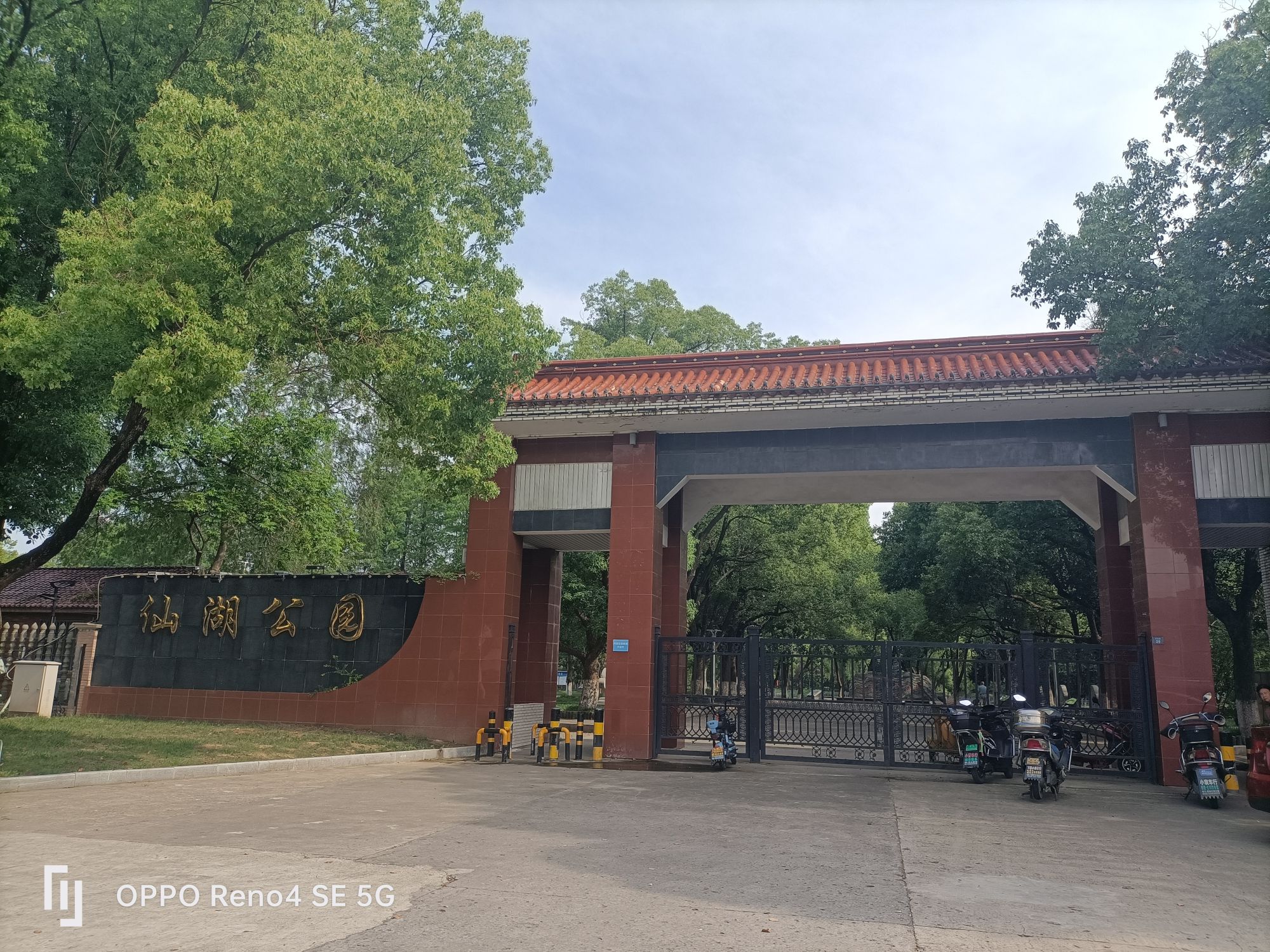 仙湖公园
