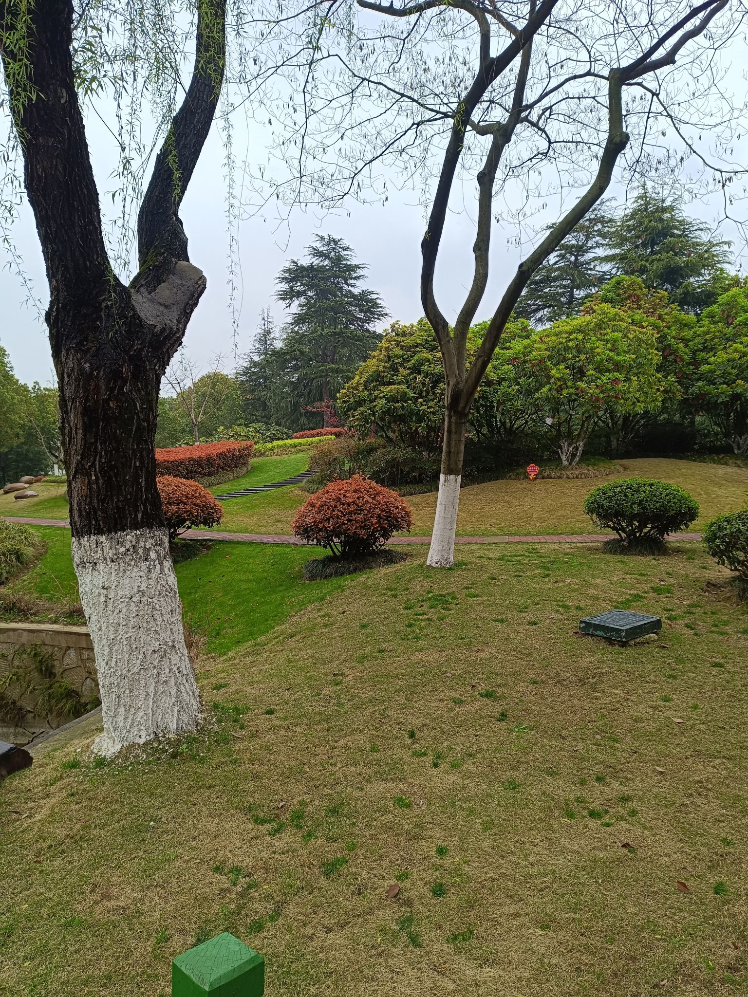 沧屿园旅行图片 3