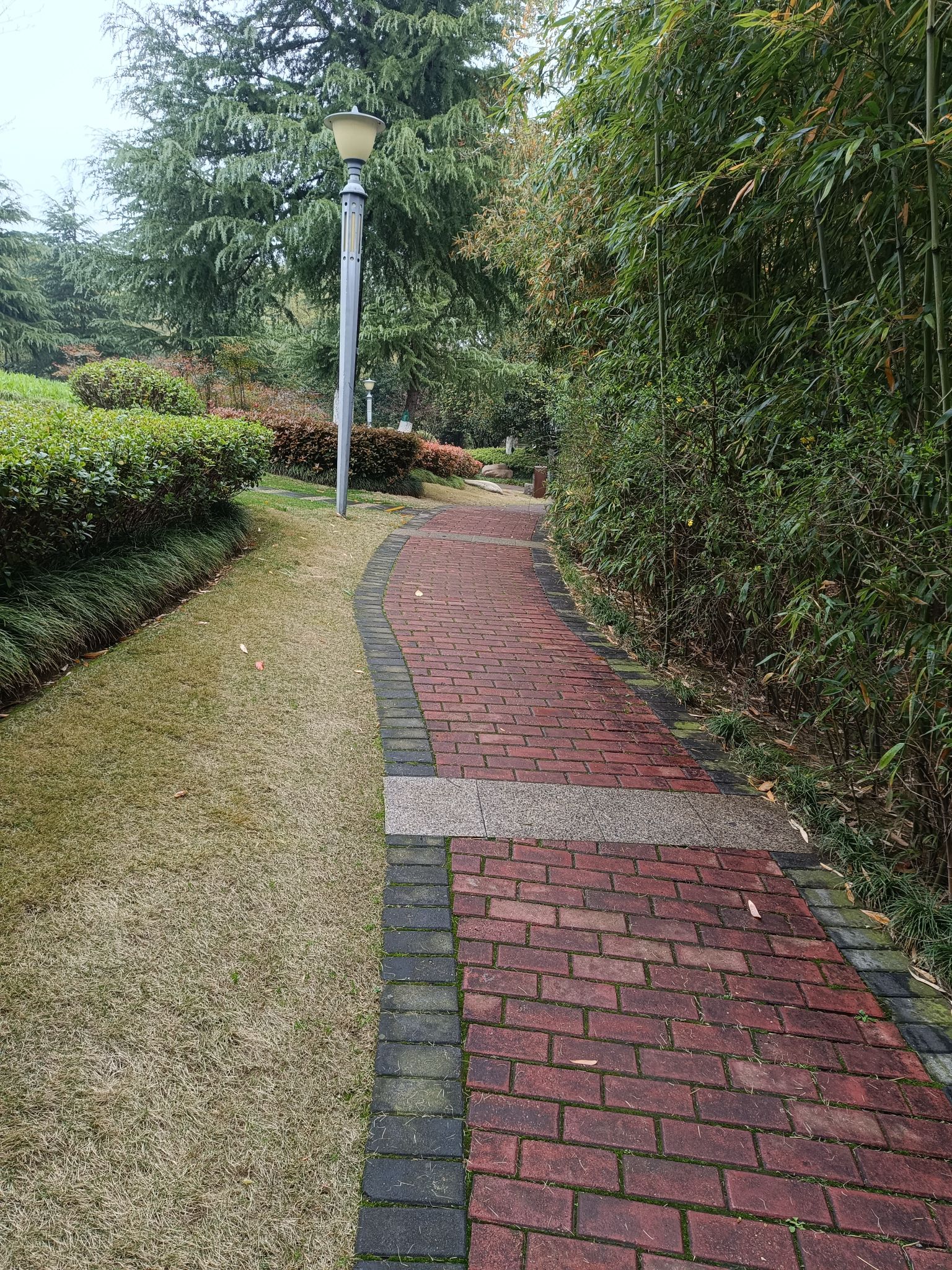 沧屿园旅行图片 2