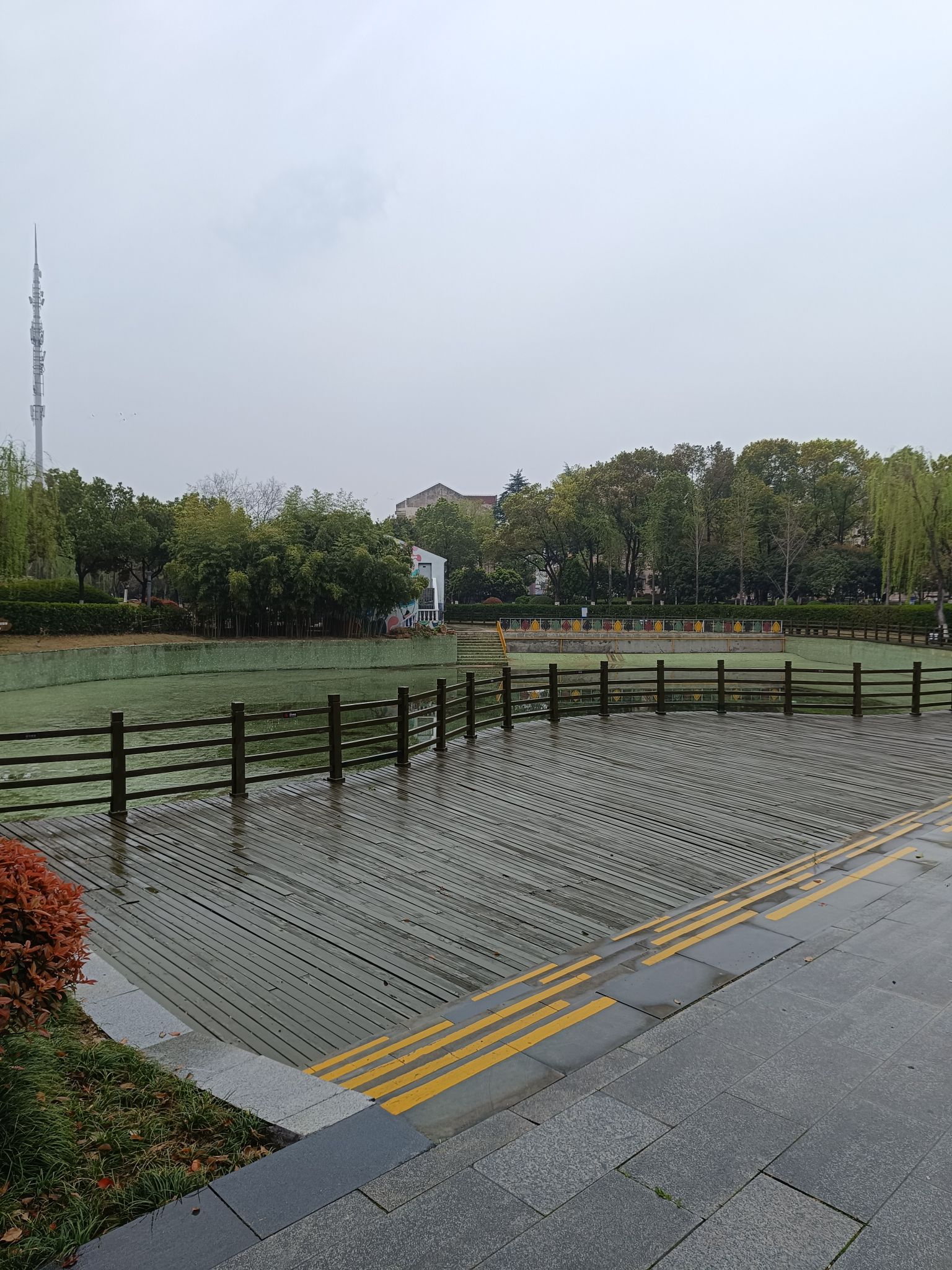 沧屿园旅行图片 1
