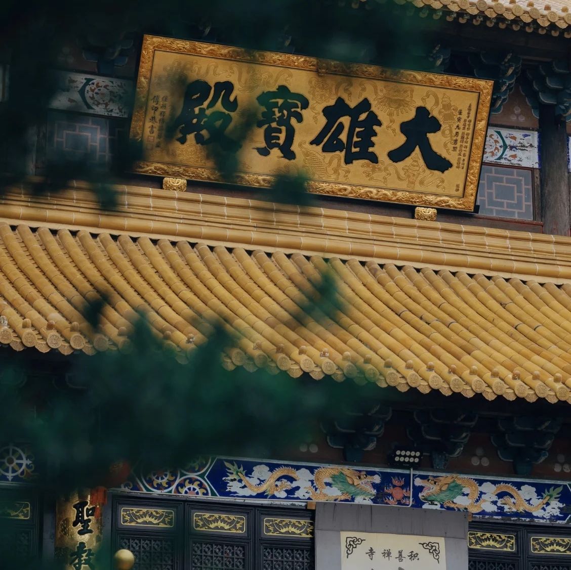 积善禅寺实景照片
