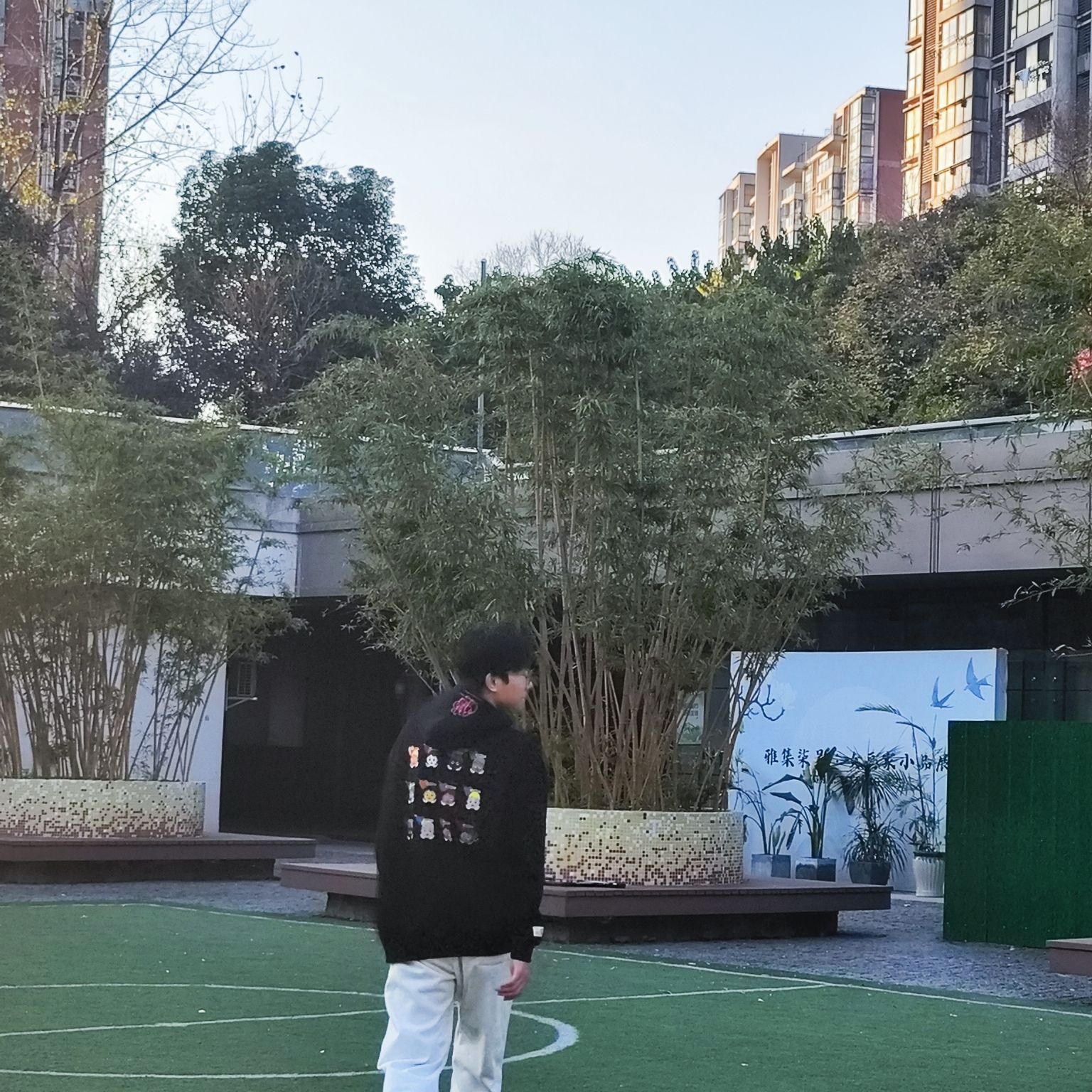 新北中心公园旅行图片 2
