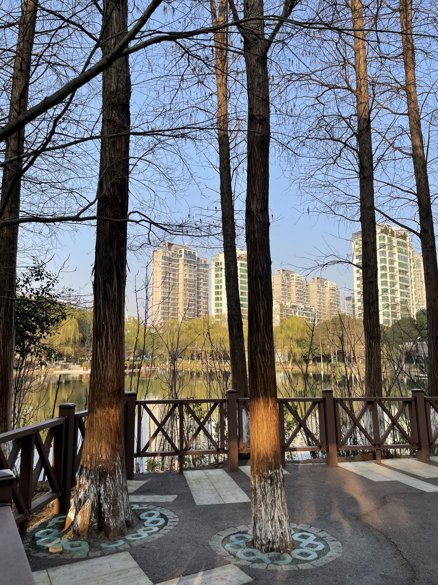 新北中心公园旅行图片 3