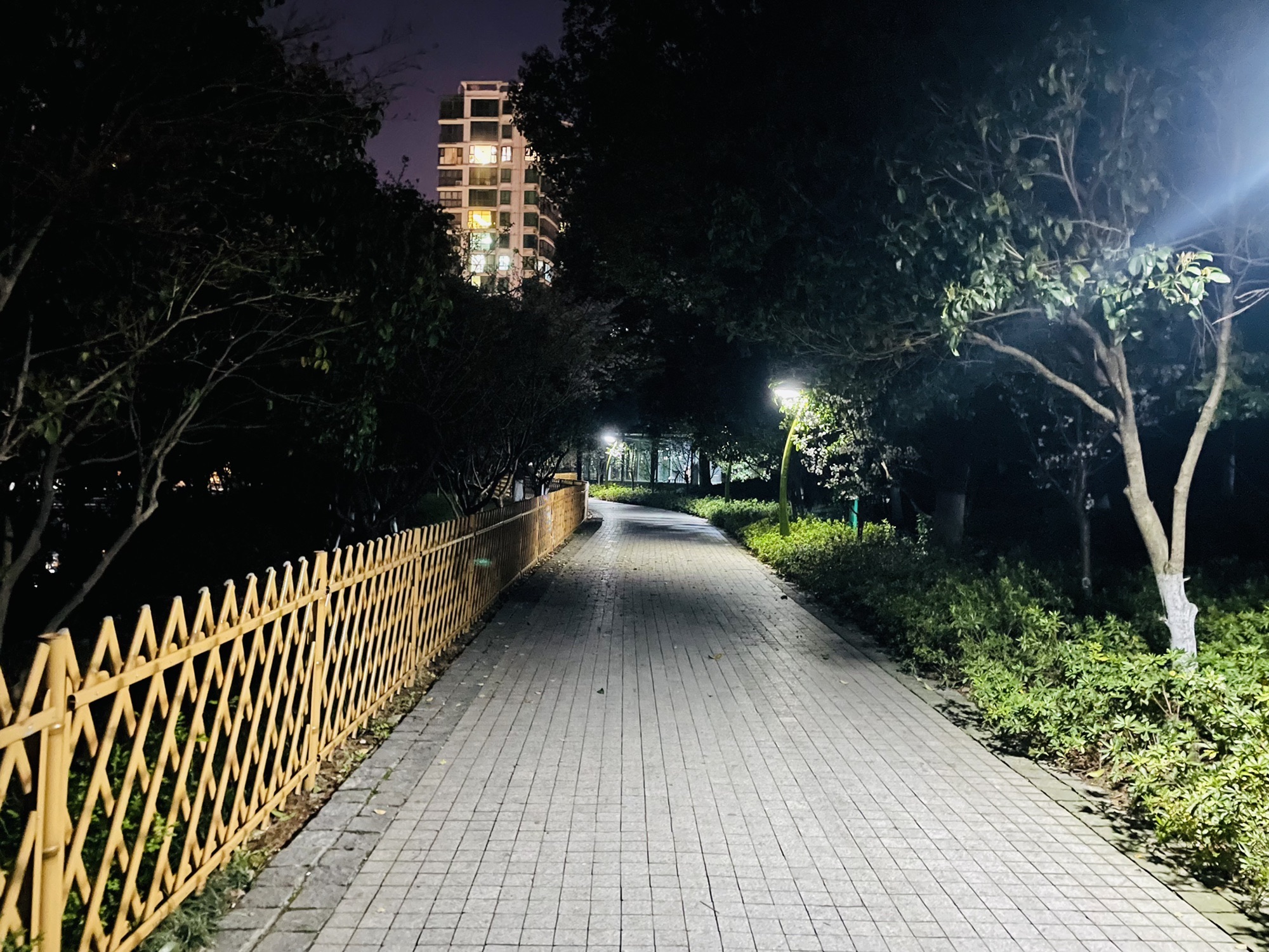 新北中心公园旅行图片 1