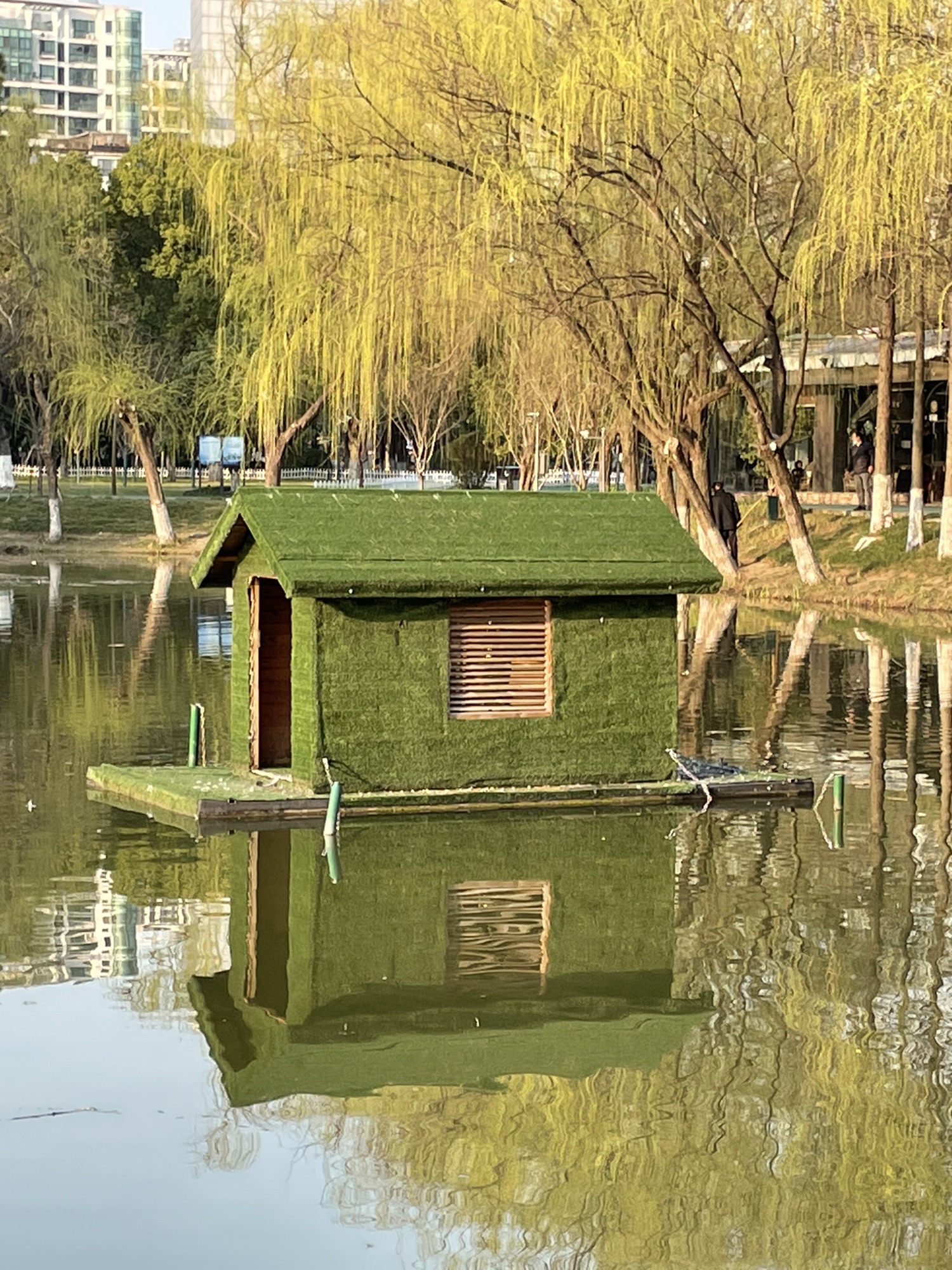新北中心公园旅行图片 1