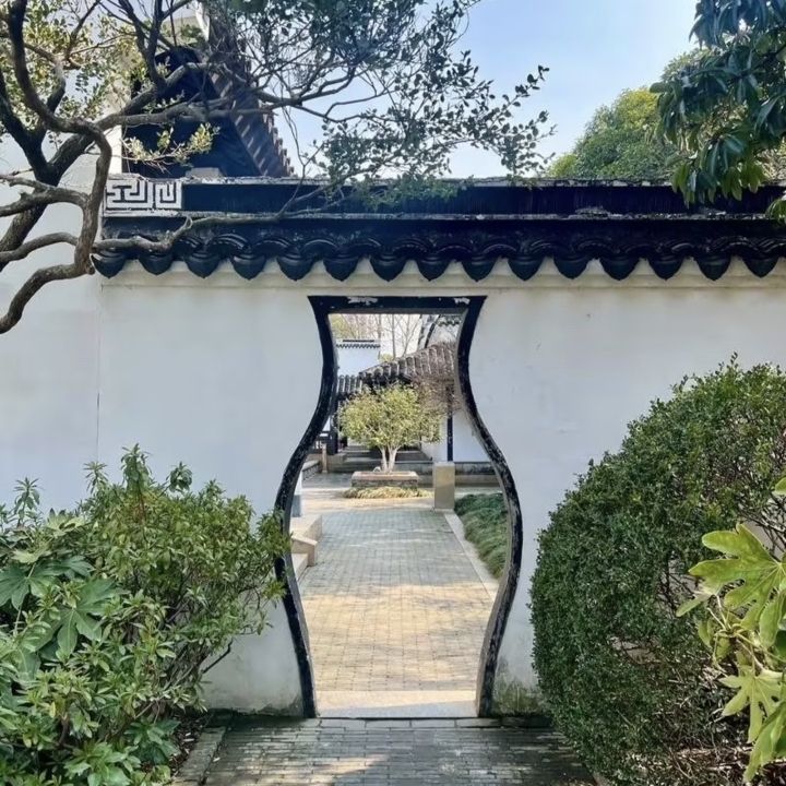 红梅公园旅行图片 2