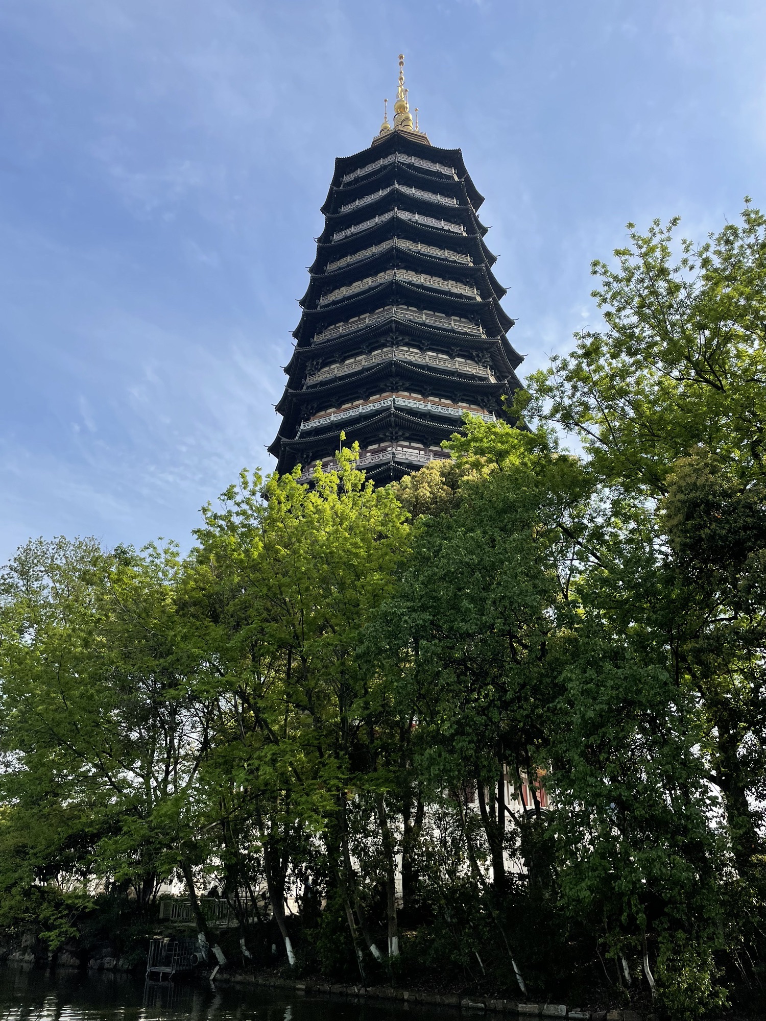 红梅公园旅行图片 2