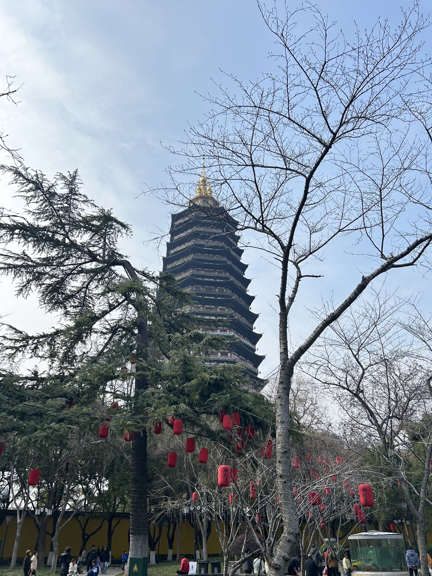 红梅公园旅行图片 2