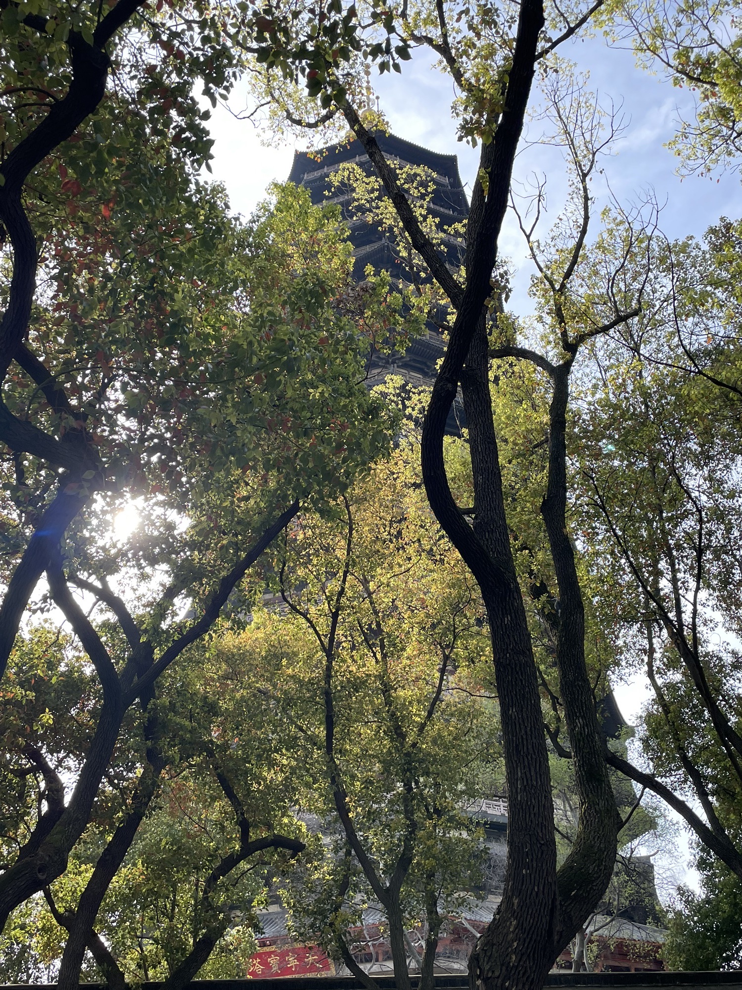 红梅公园旅行图片 1
