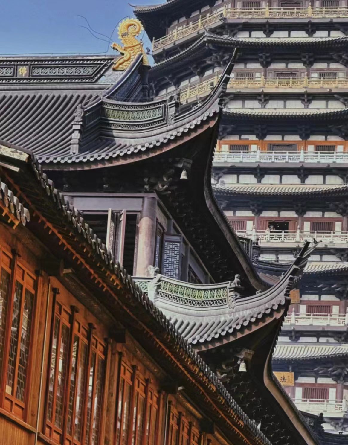 红梅公园旅行图片 1