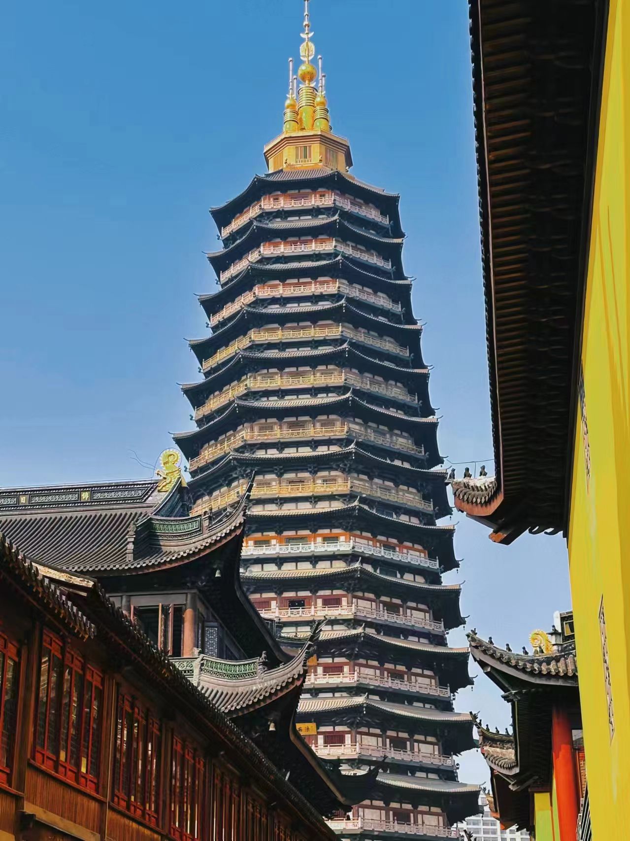 红梅公园旅行图片 2