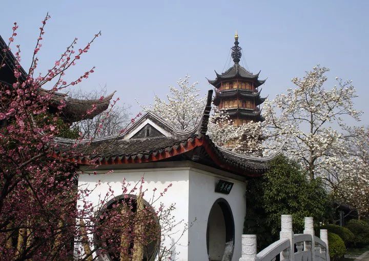 红梅公园旅行图片 3