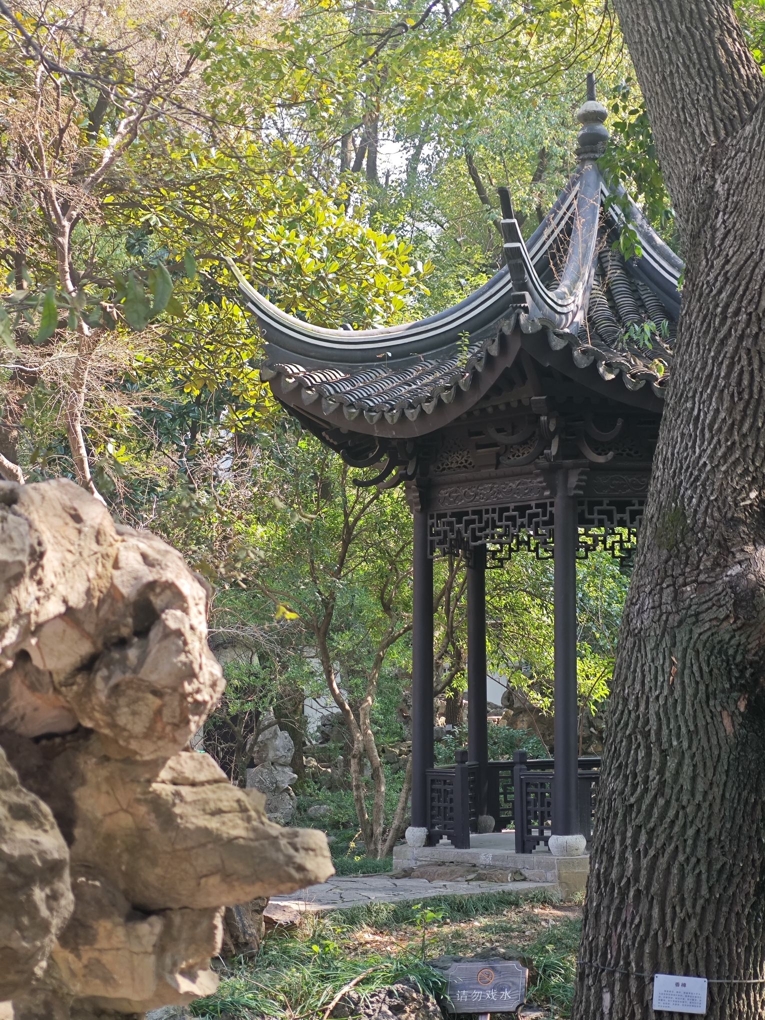 近园旅行图片 2