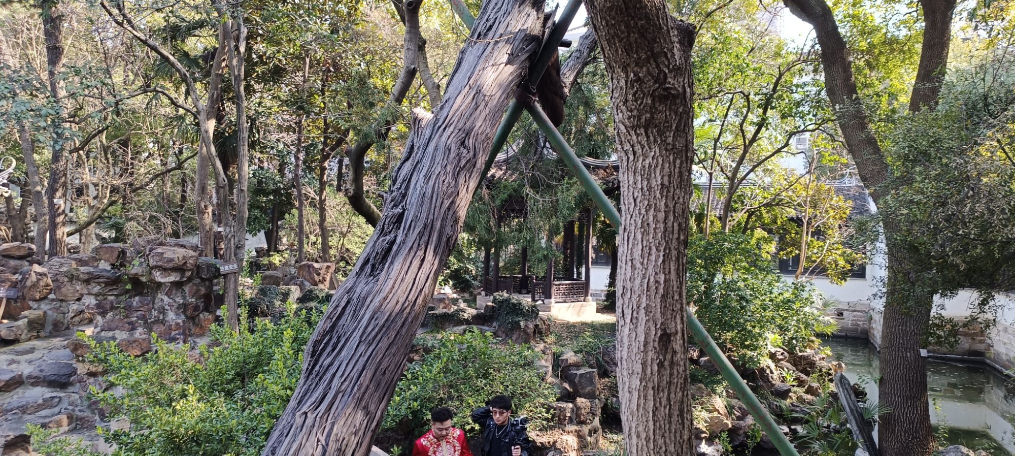 近园旅行图片 3
