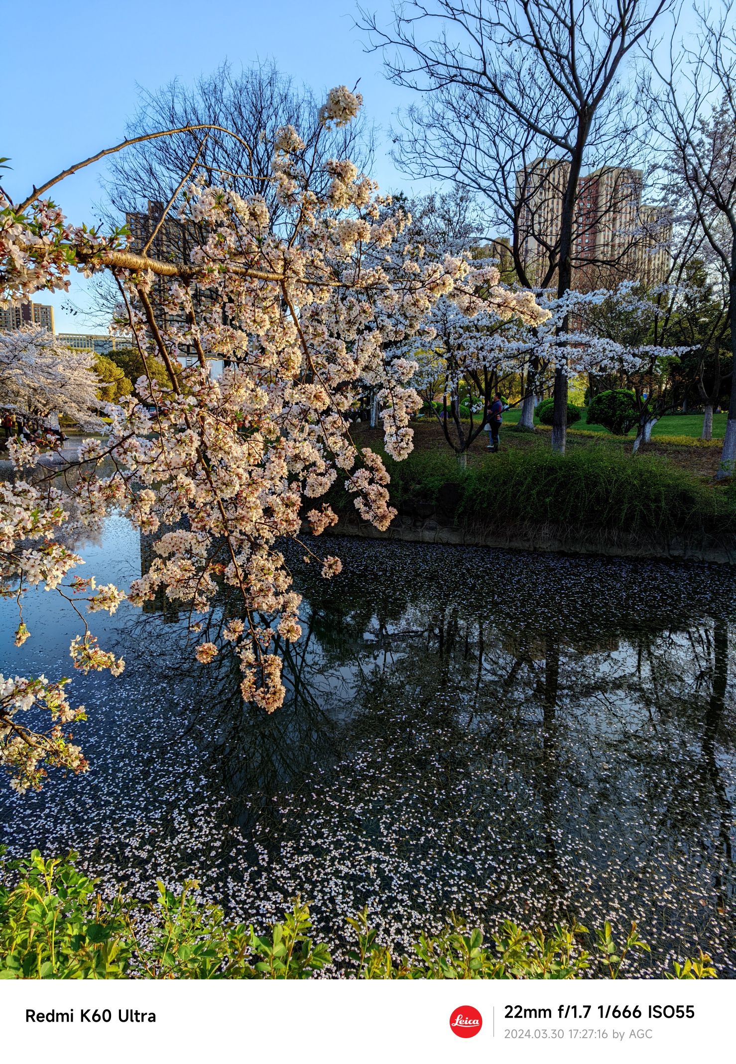 文慧园旅行图片 2