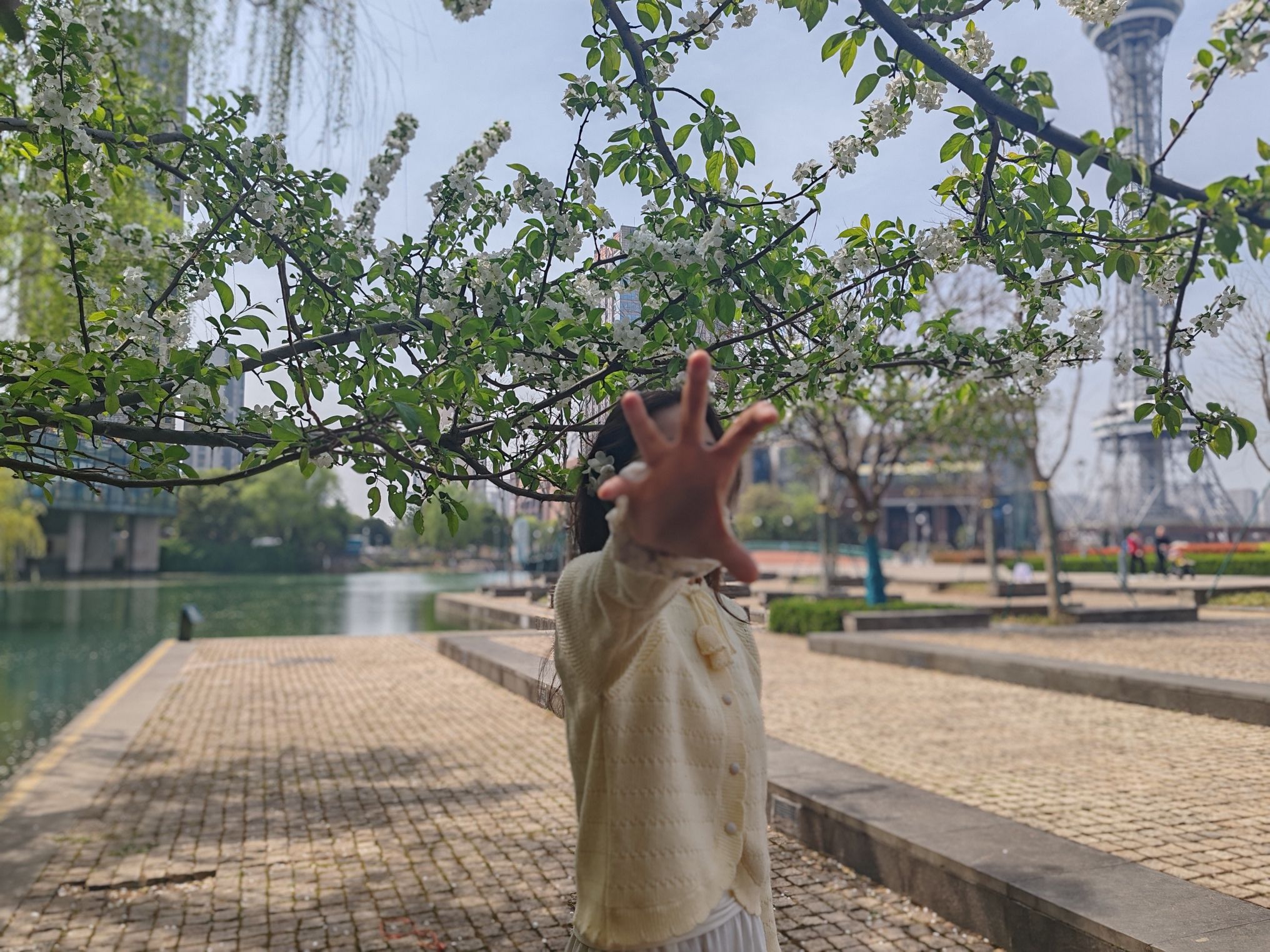 武进新天地公园旅行图片 2