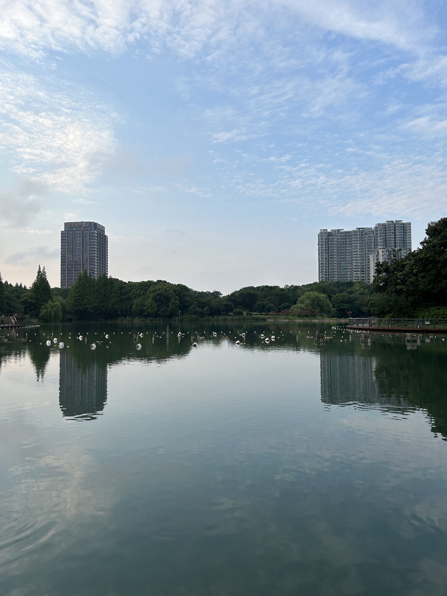武进新天地公园旅行图片 2