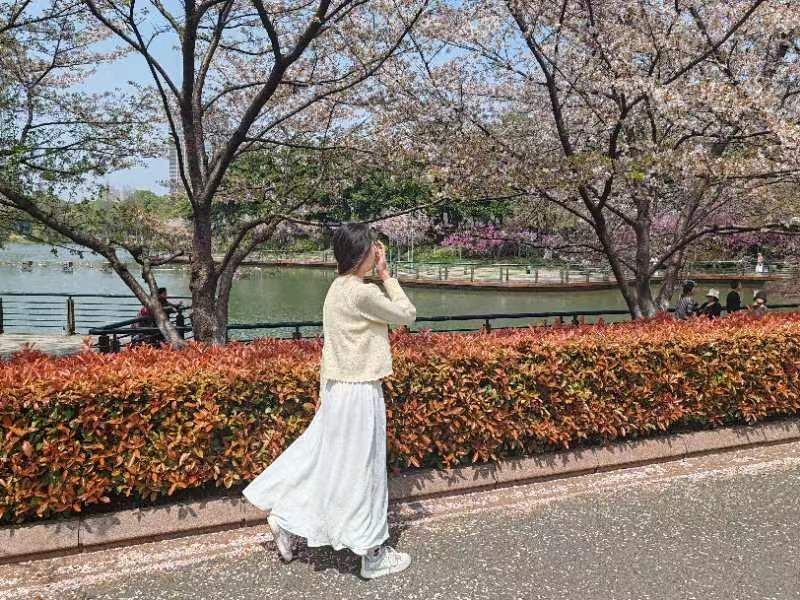 武进新天地公园旅行图片 1