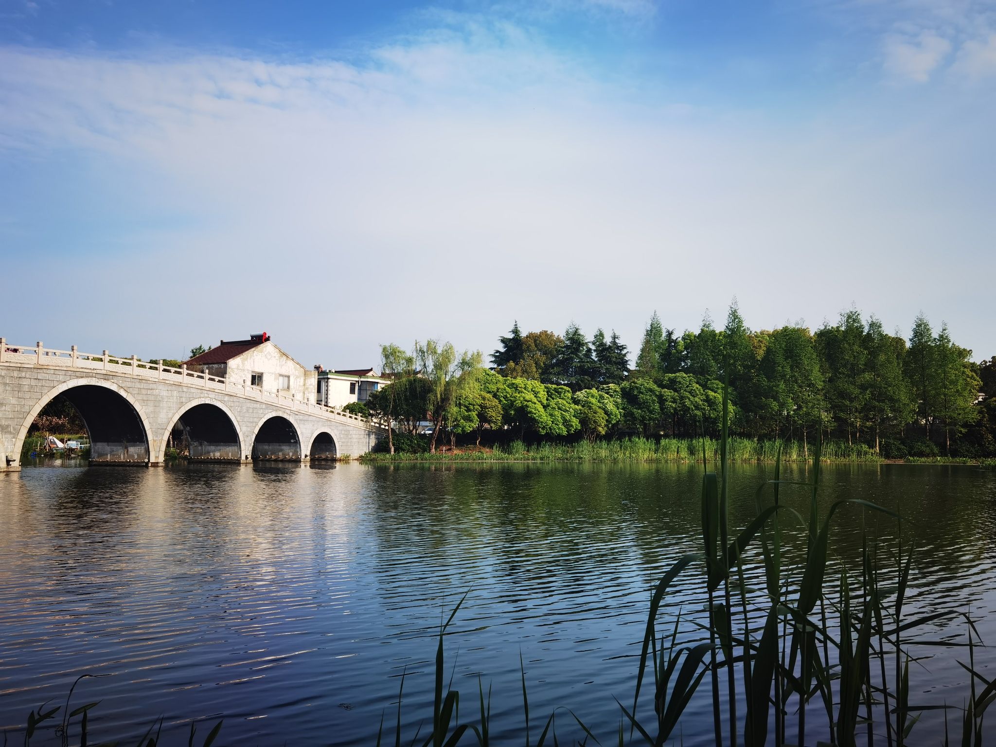 愚池公园旅行图片 2