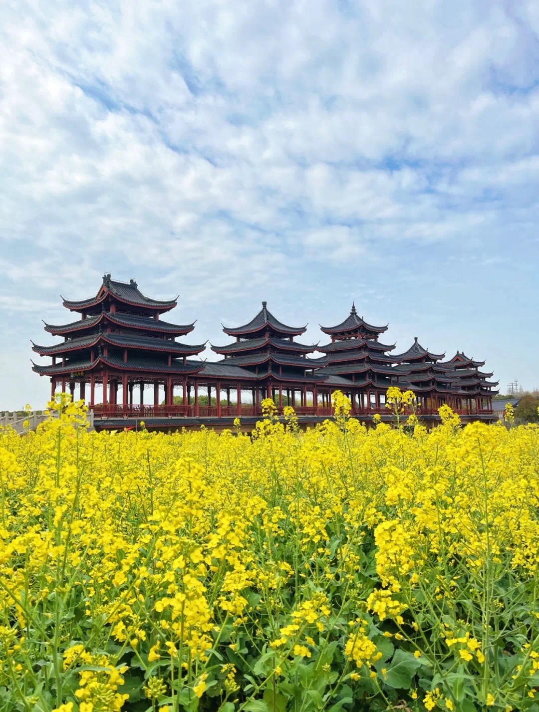 愚池公园旅行图片 1