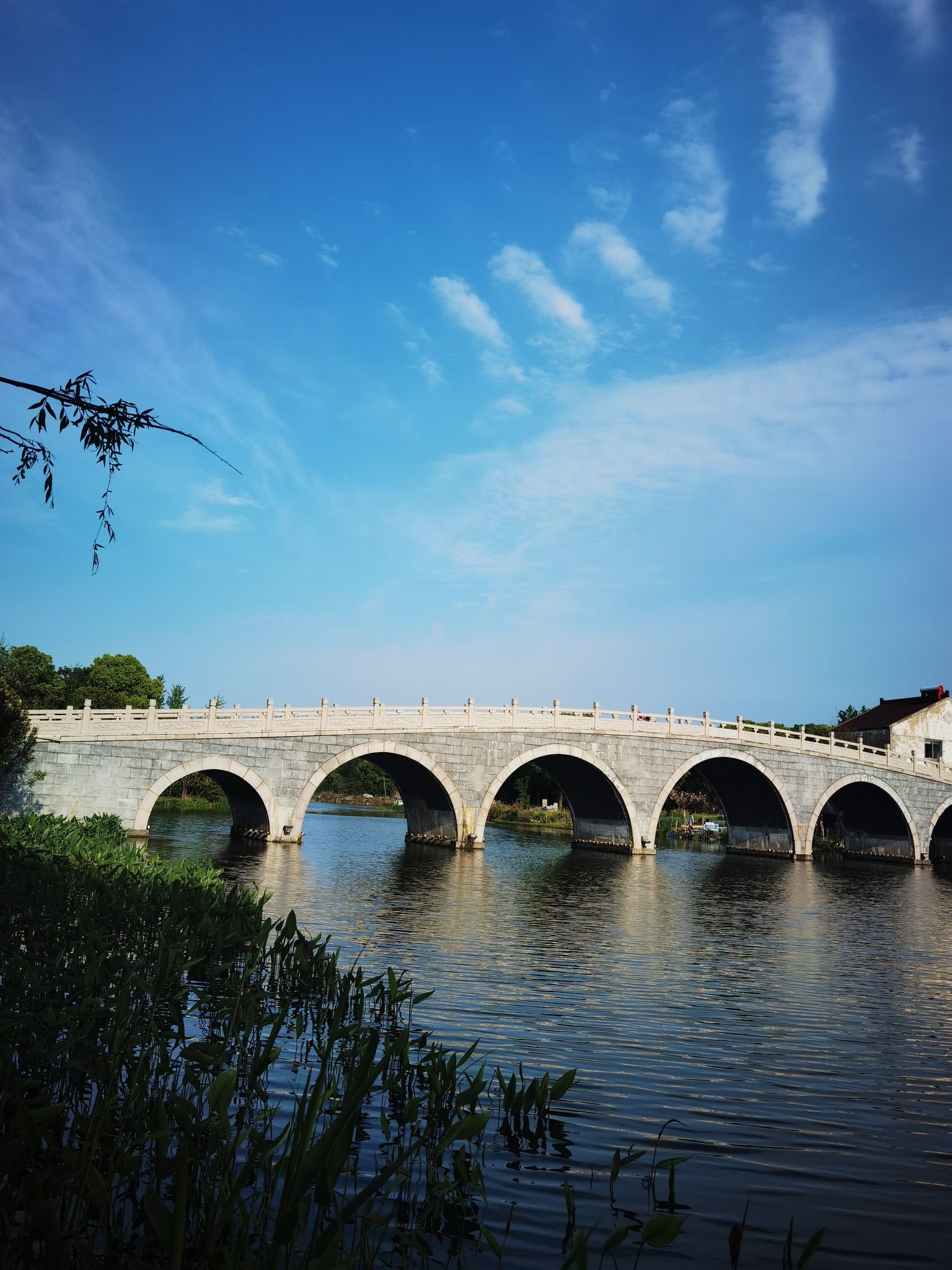 愚池公园旅行图片 1