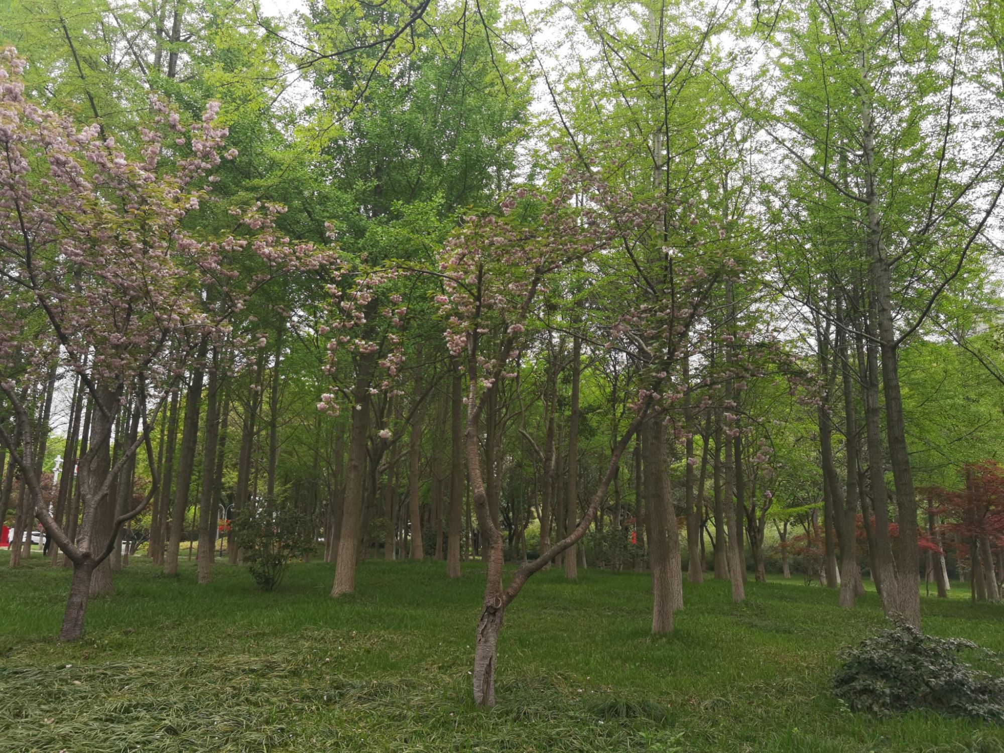愚池公园旅行图片 3