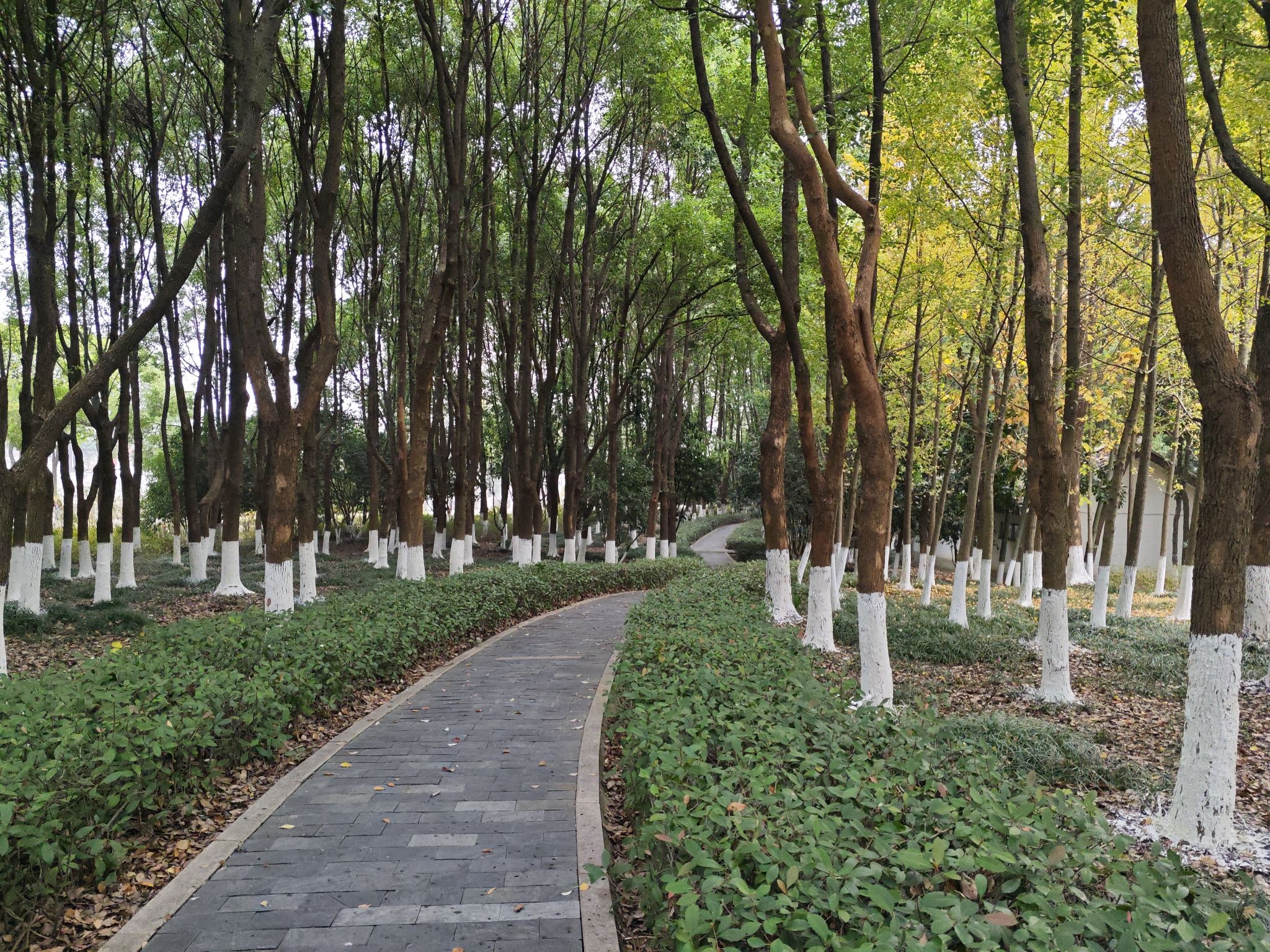 愚池公园旅行图片 3
