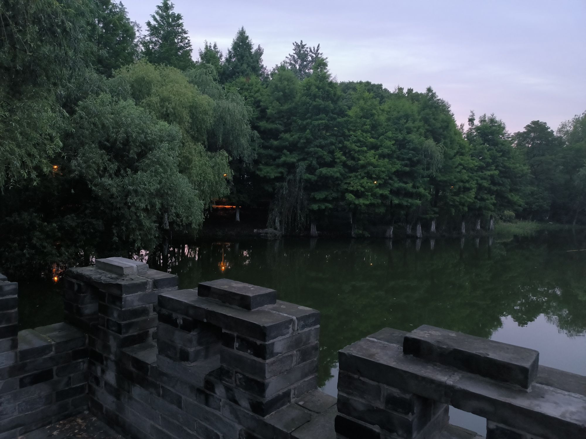 仙湖公园旅行图片 1
