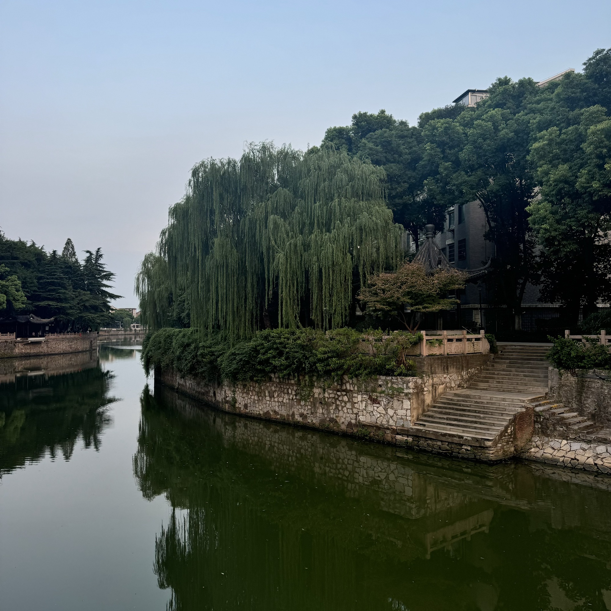 高静园旅行图片 1