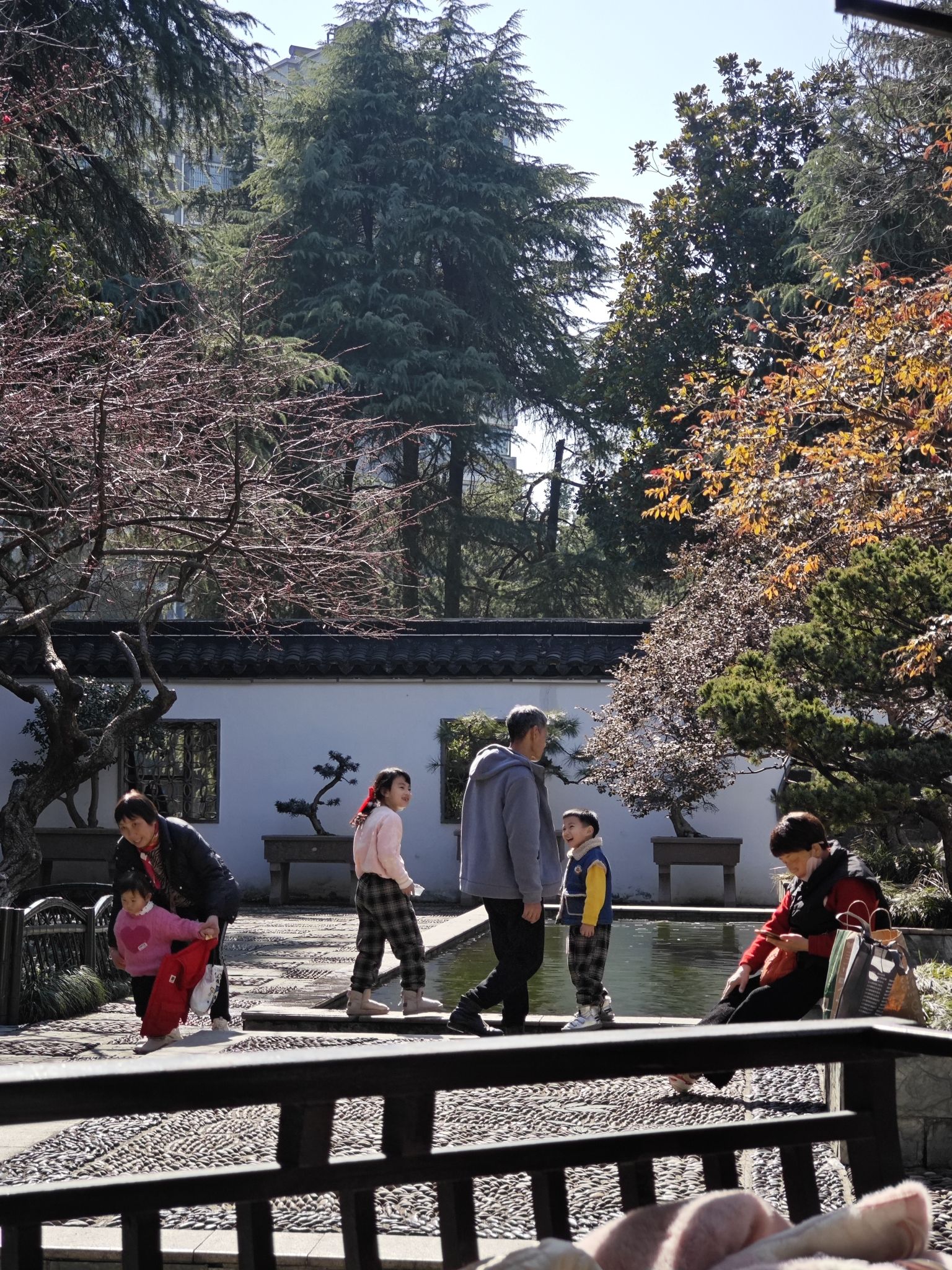 高静园旅行图片 3