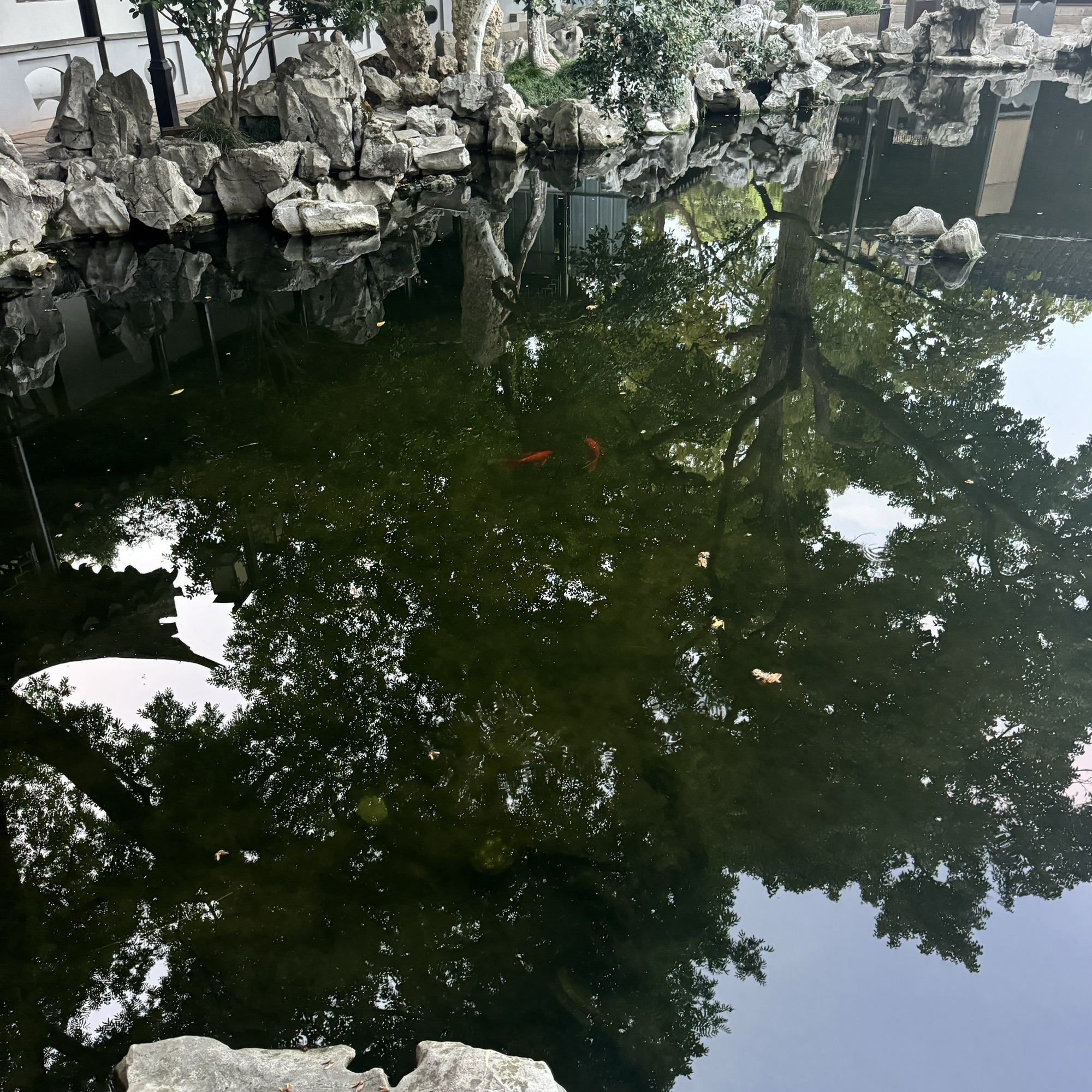 高静园旅行图片 3