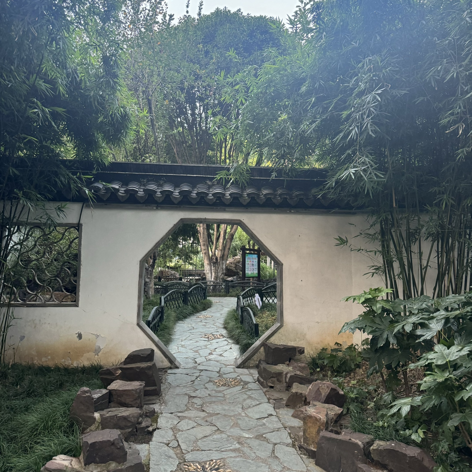 高静园旅行图片 2