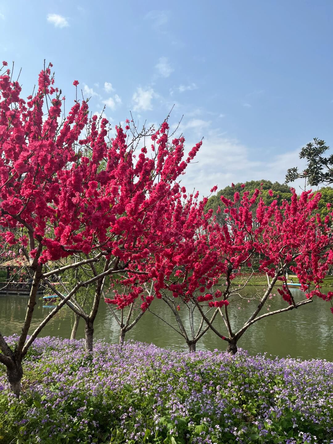 圩墩遗址公园旅行图片 3