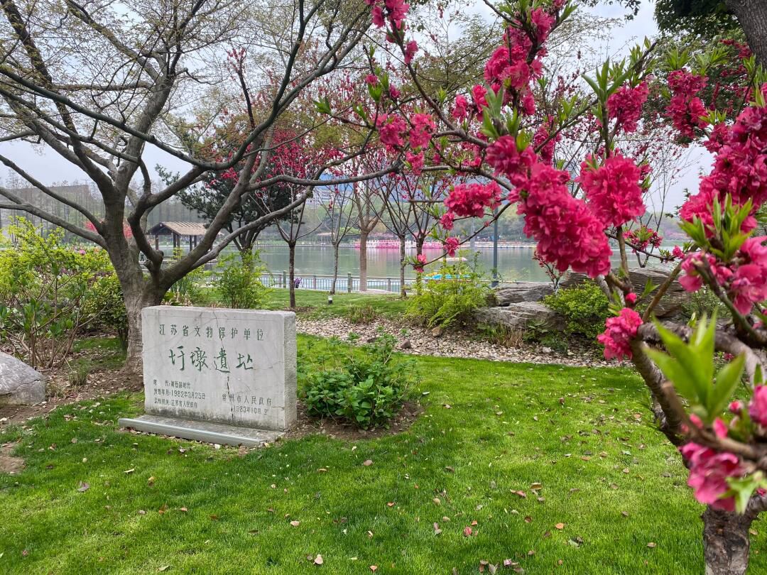 圩墩遗址公园旅行图片 1